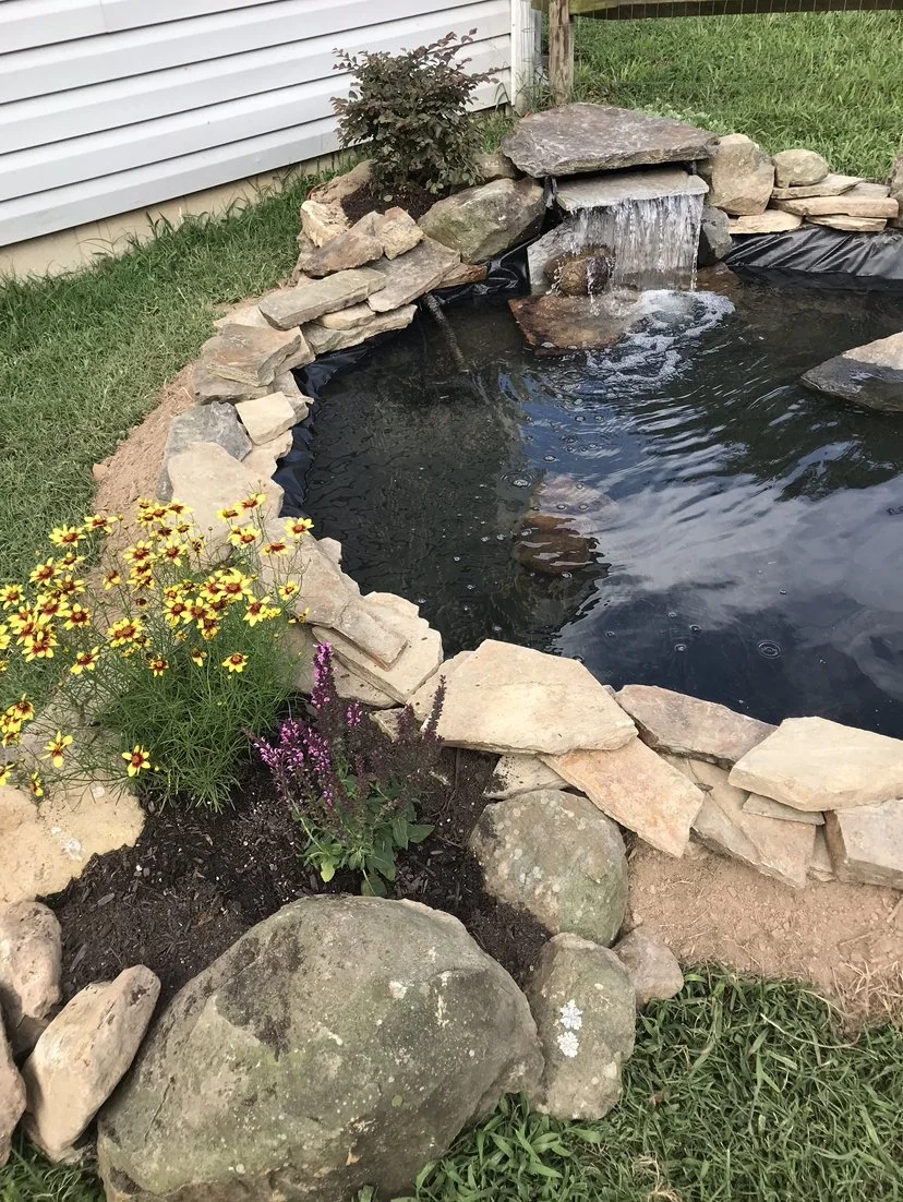 Fish Pond.PNG