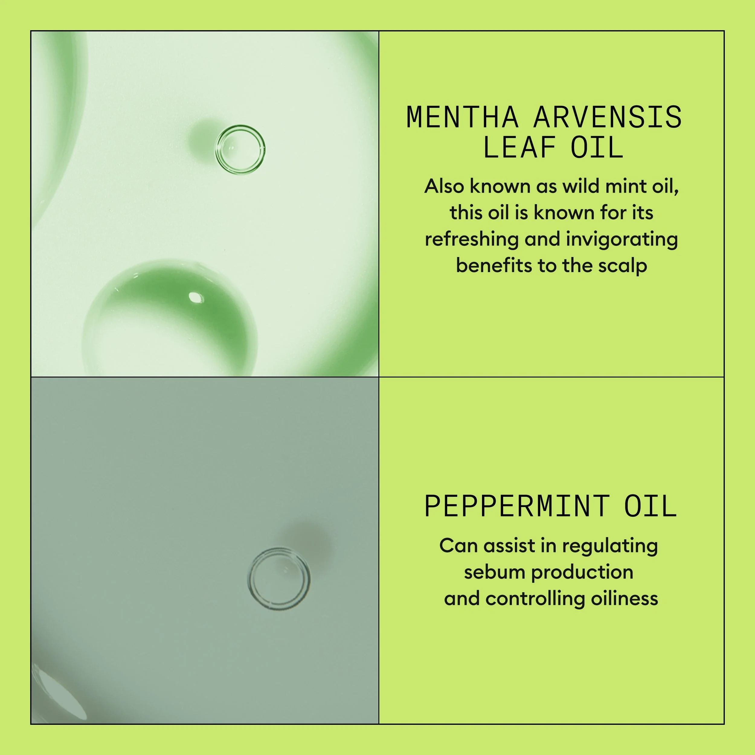 Nioxin_System_KIT_2_Conditioner_1000ml_SI_4 EDIT.jpg