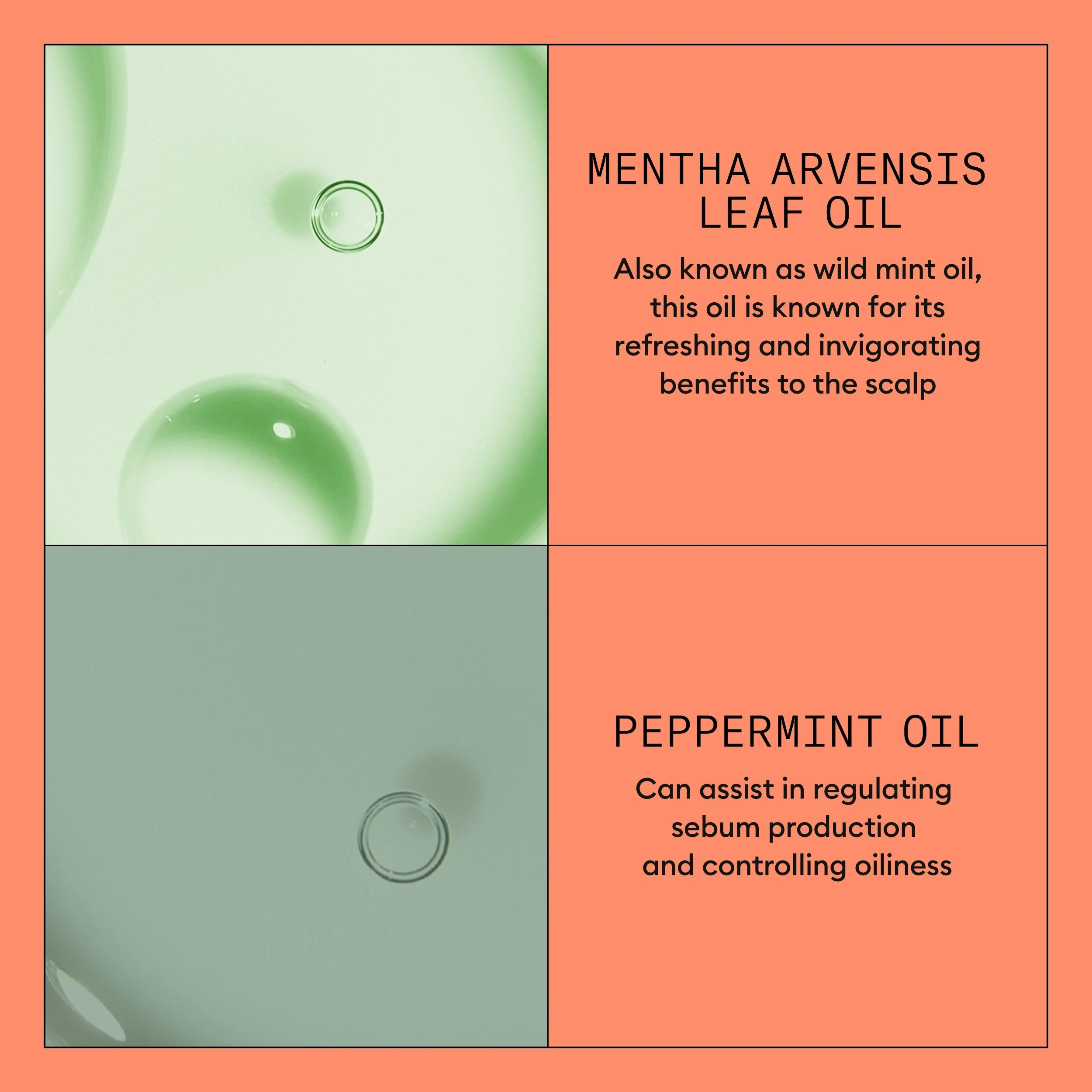 Nioxin_System_KIT_4_Conditioner_1000ml_SI_4 EDIT.jpg