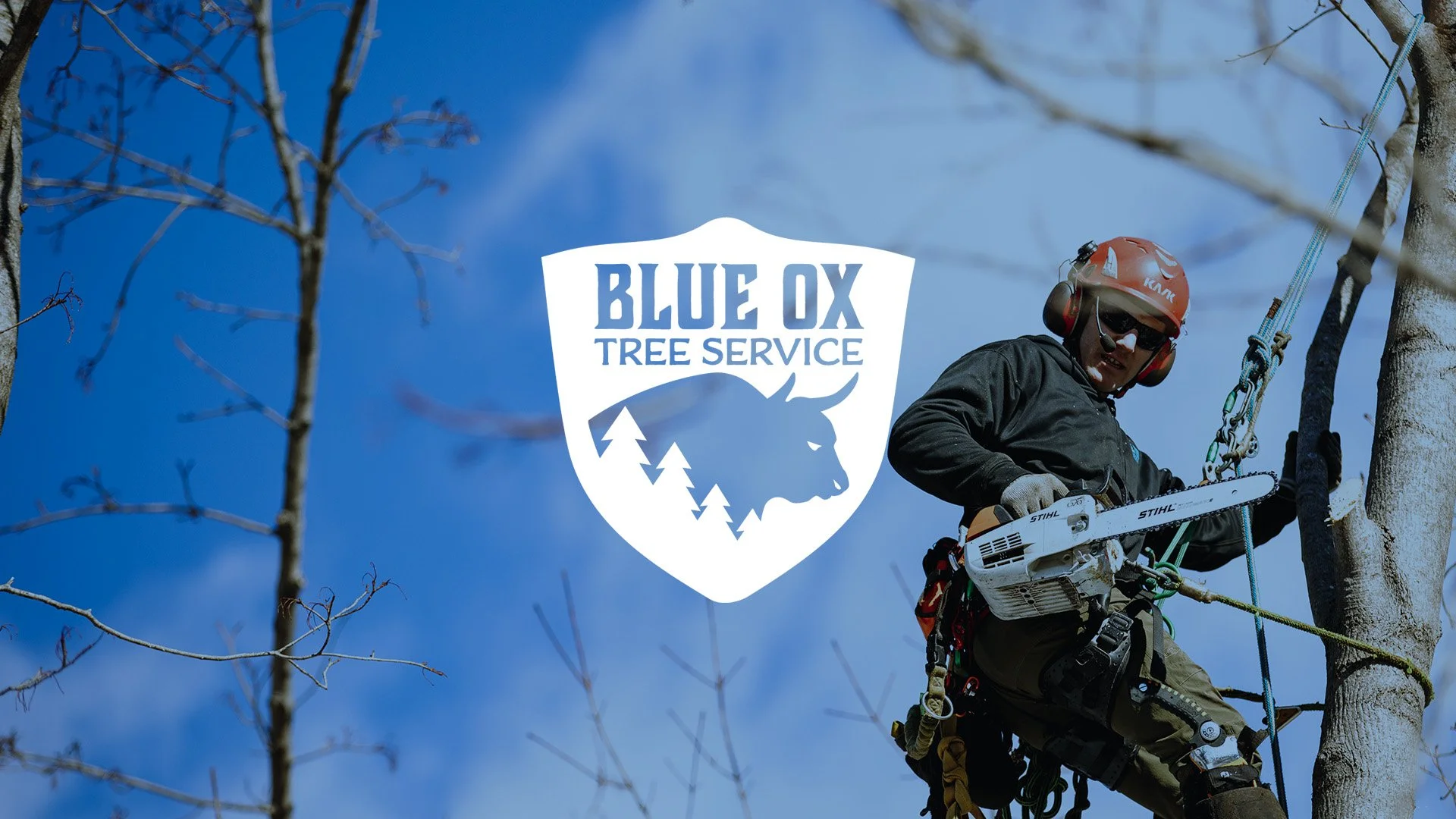 Blue Ox Tree Service gallery 4