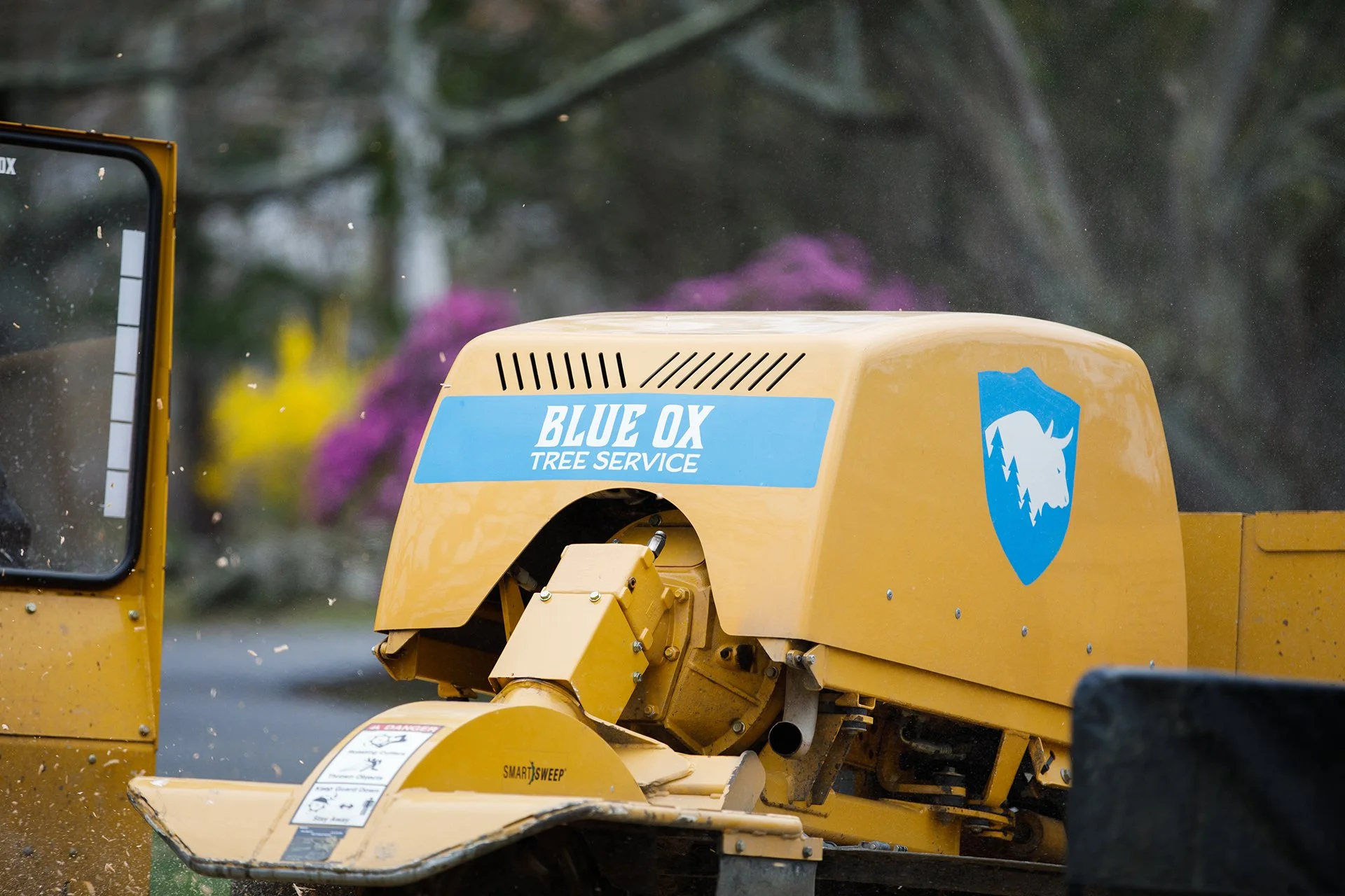 Blue Ox Tree Service gallery 8