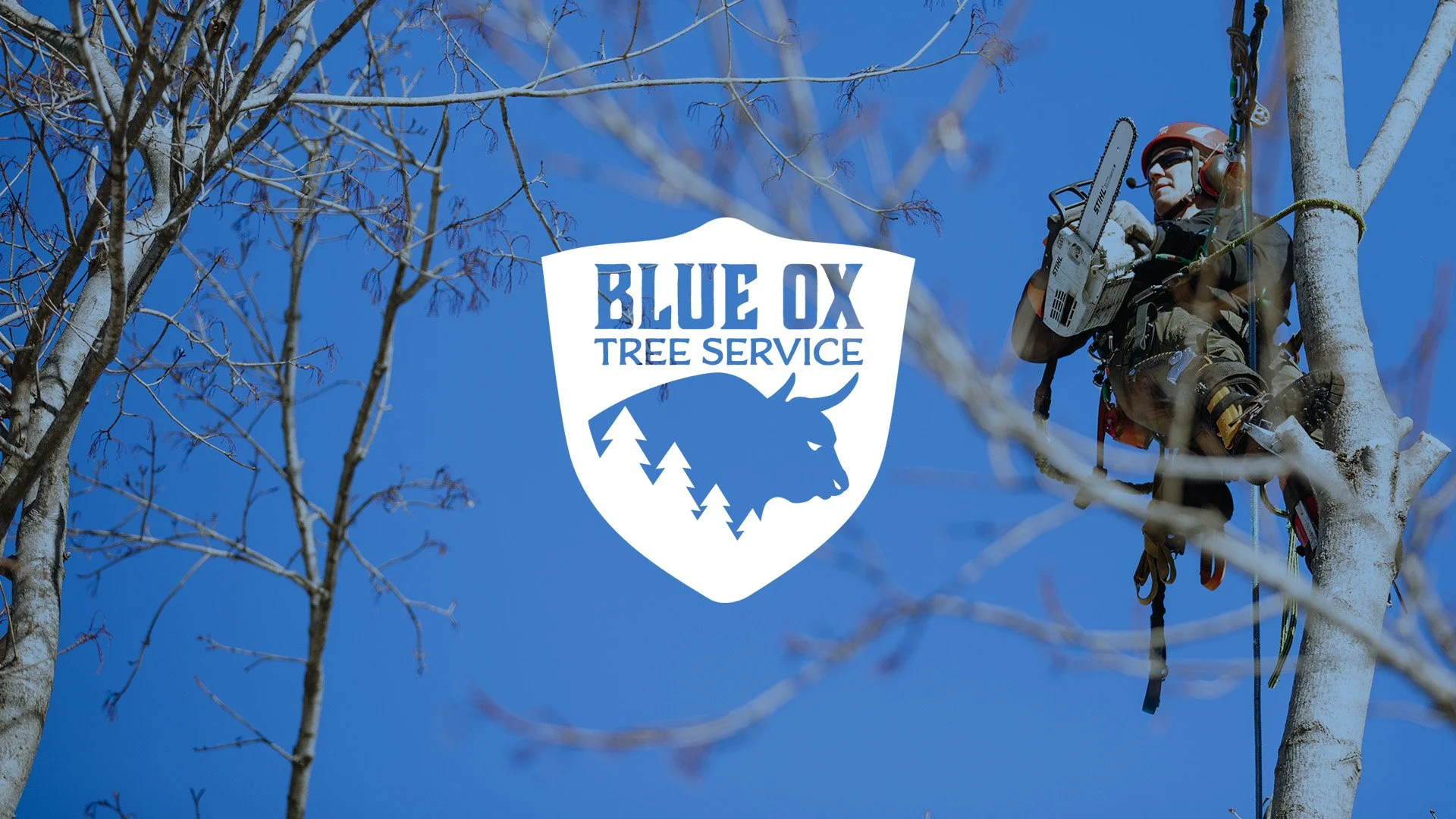Blue Ox Tree Service gallery 2