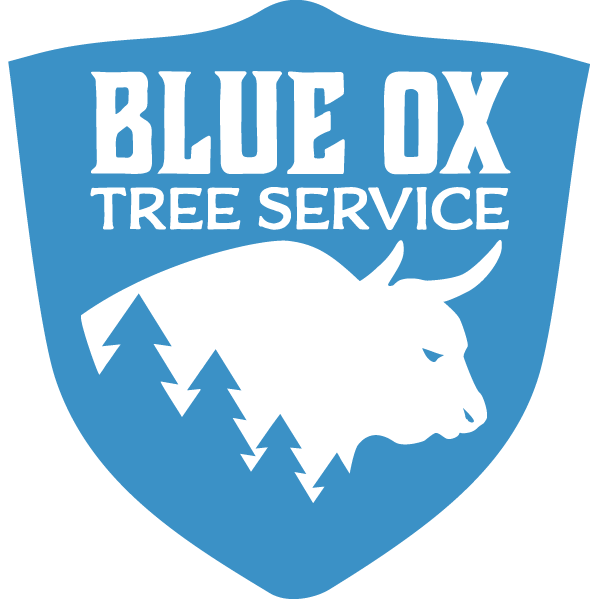 Blue Ox Maine 