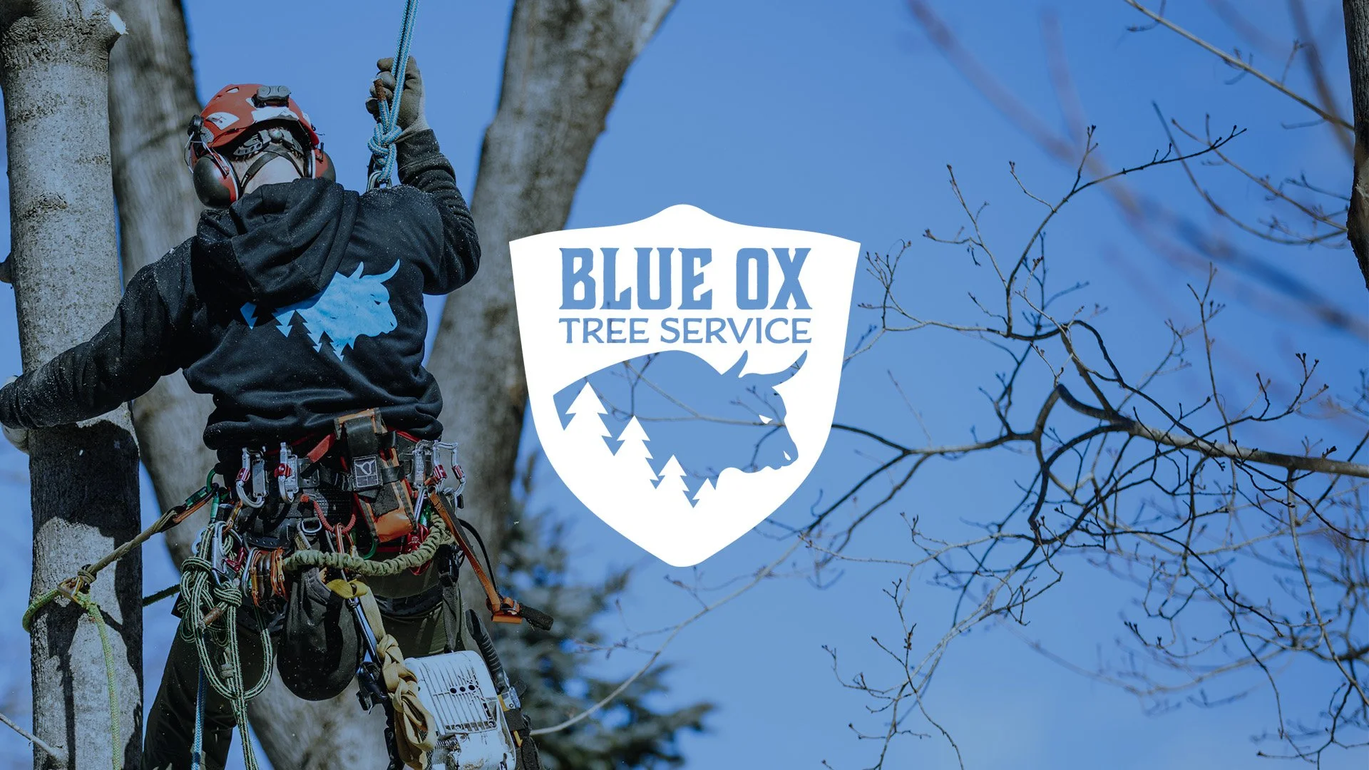 Blue Ox Tree Service work site