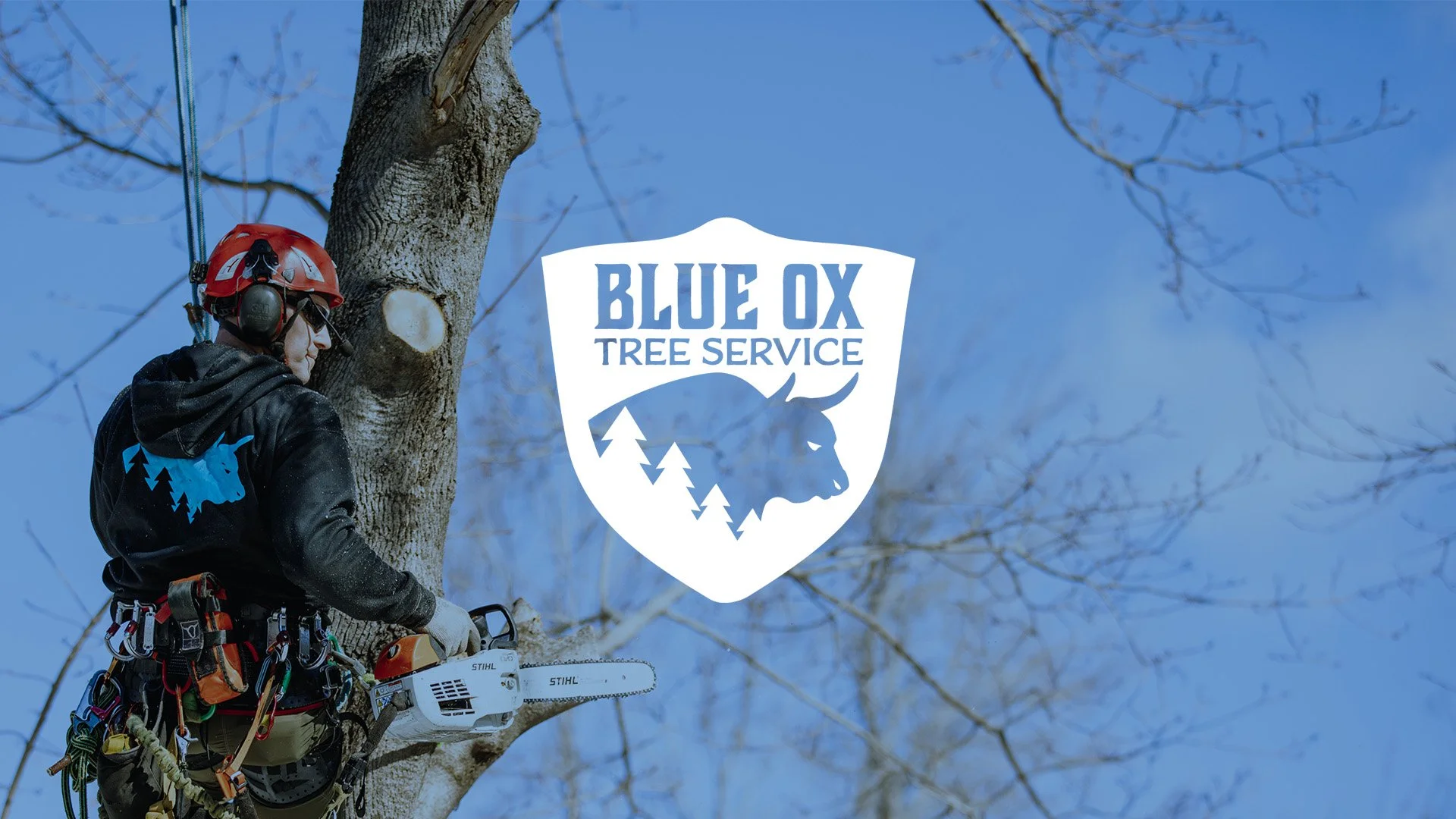 Blue Ox Tree Service gallery 3