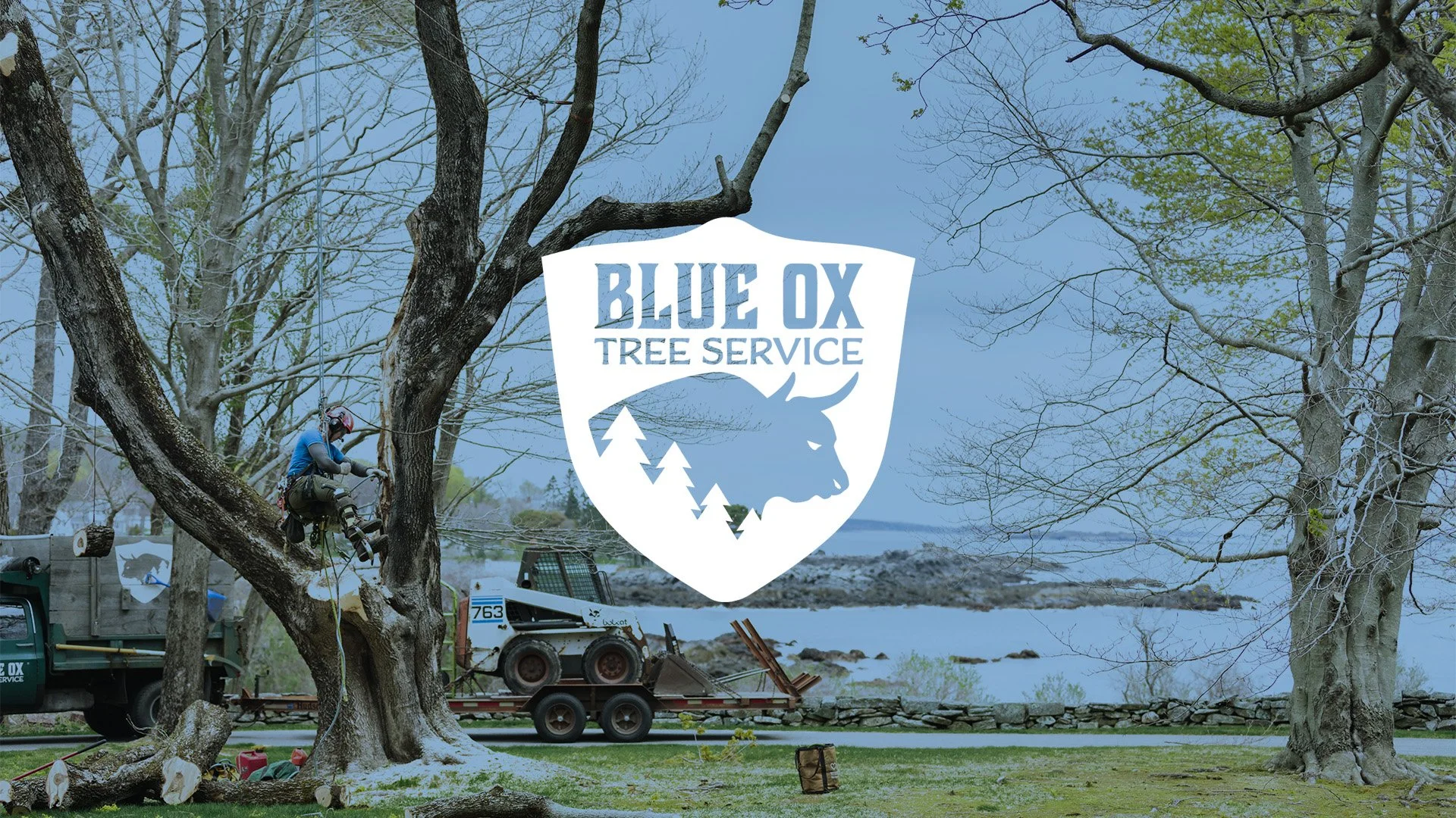 Blue Ox Tree Service gallery 6