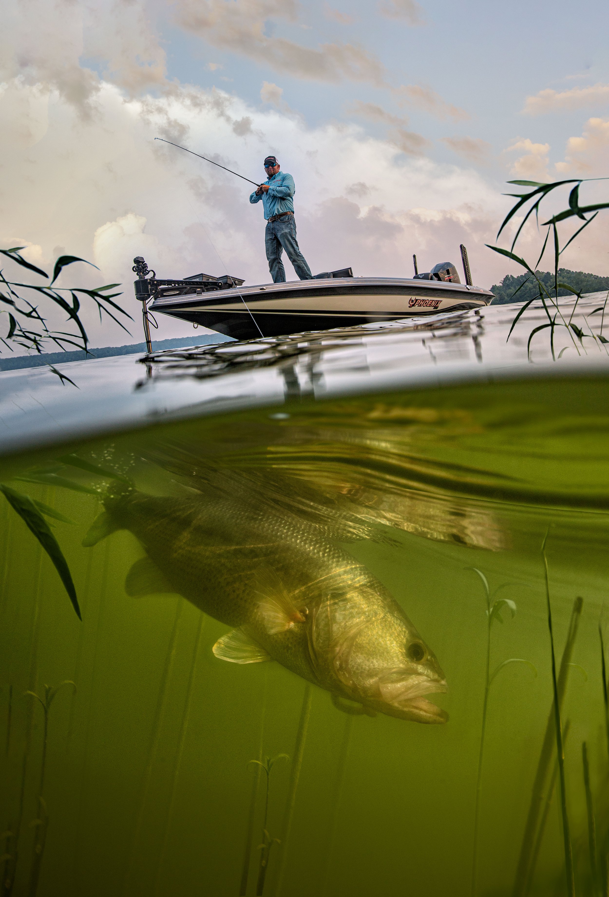 Untitled-4 9x12.jpeg