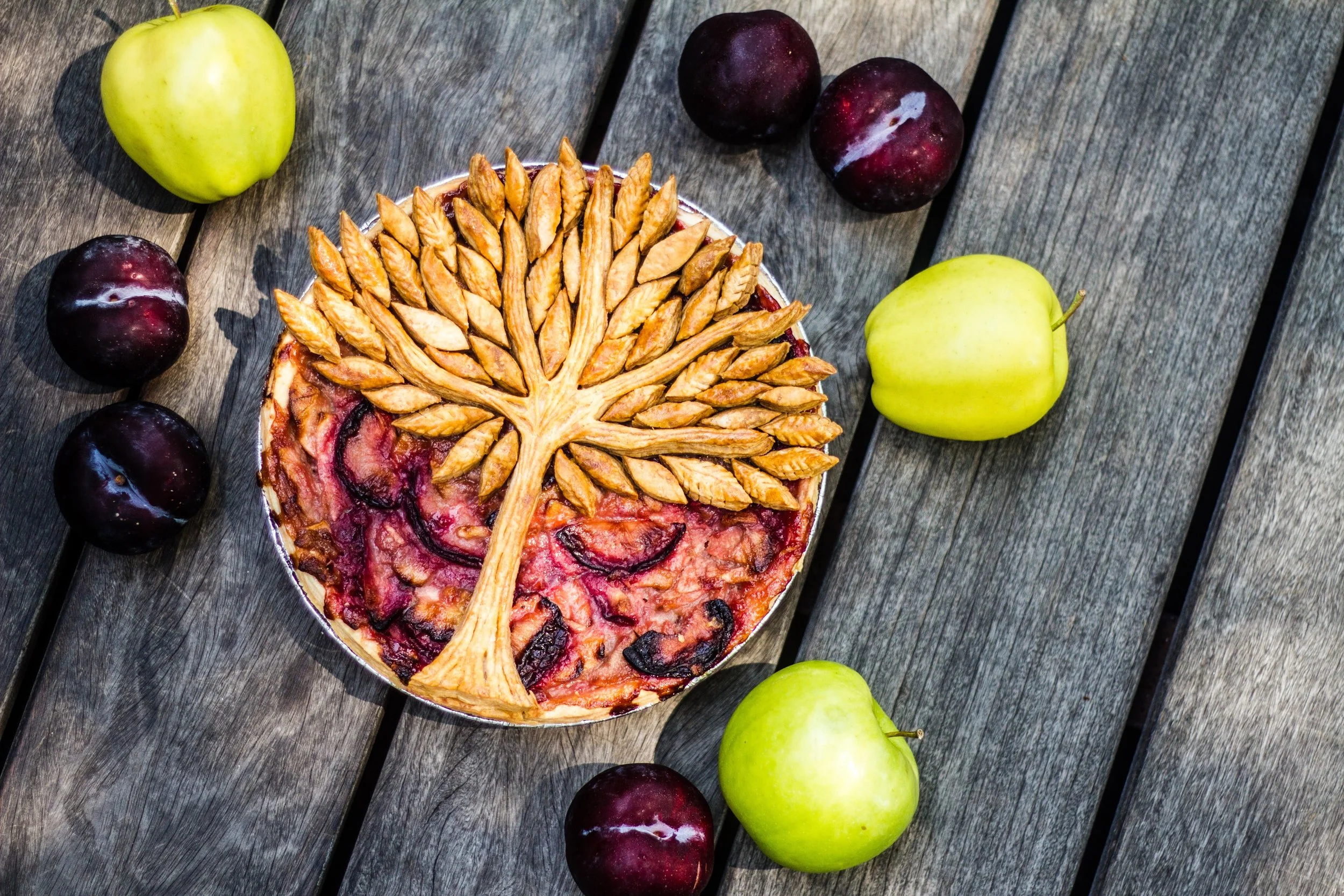 Apple and plum pie with freehand cut tree decorations, 2015 Photo credit: Farrah Skeiky