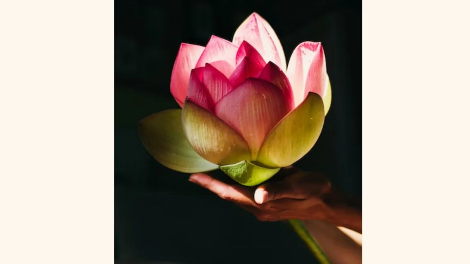 One practice to increase happiness (radical changes not required)