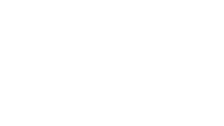 Ringzer0 Logo White.png