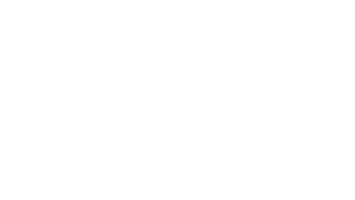 BCG Logo White.png