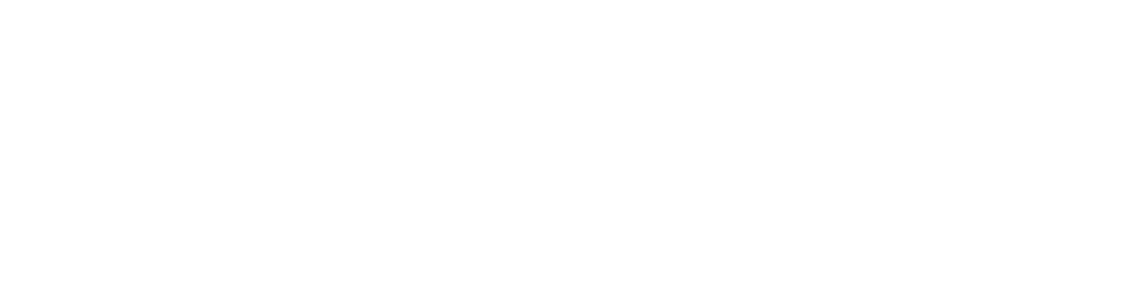 BudX Logo White.png