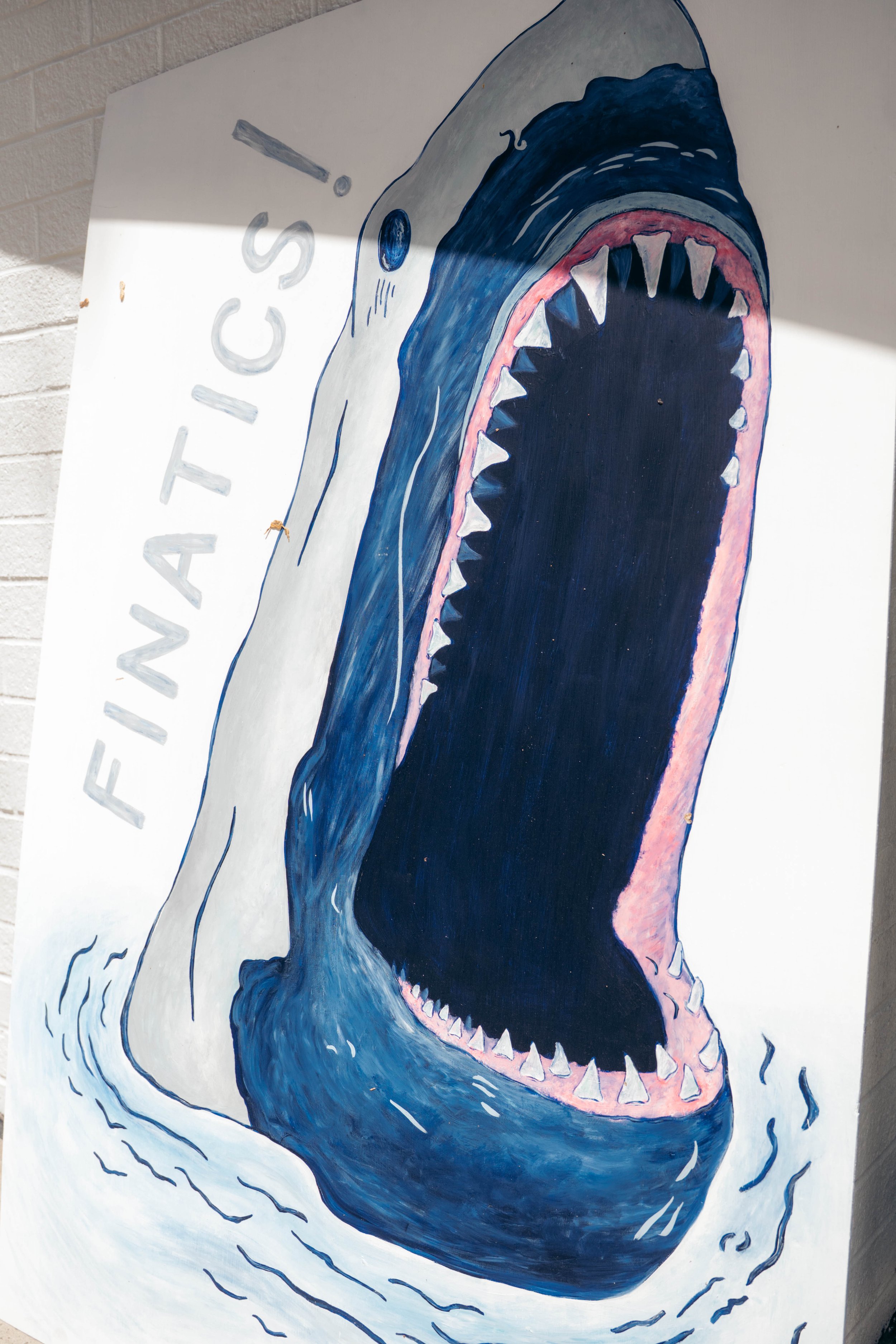 Finatics NYC Pop-Up Event