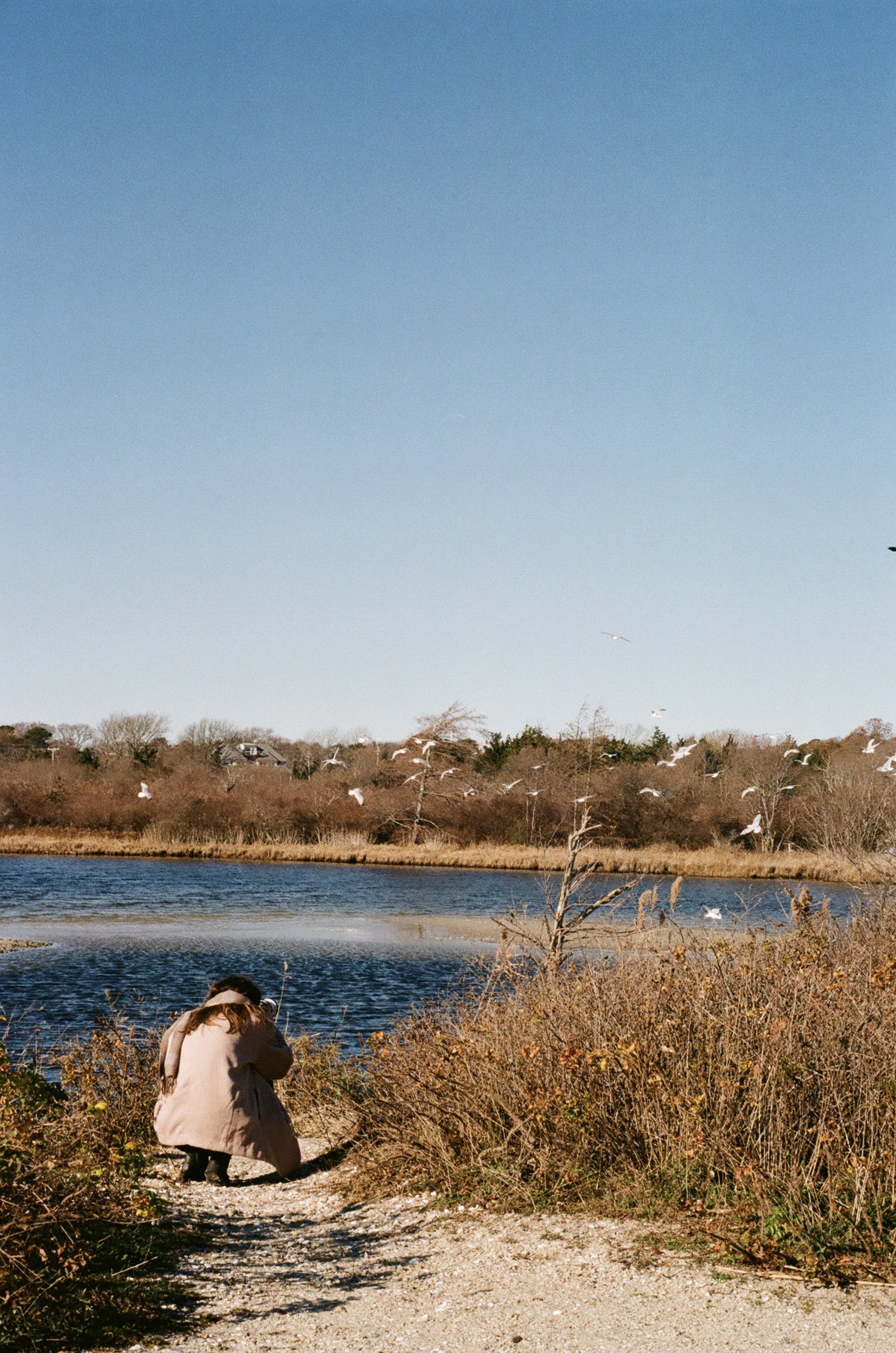 02790031.jpg