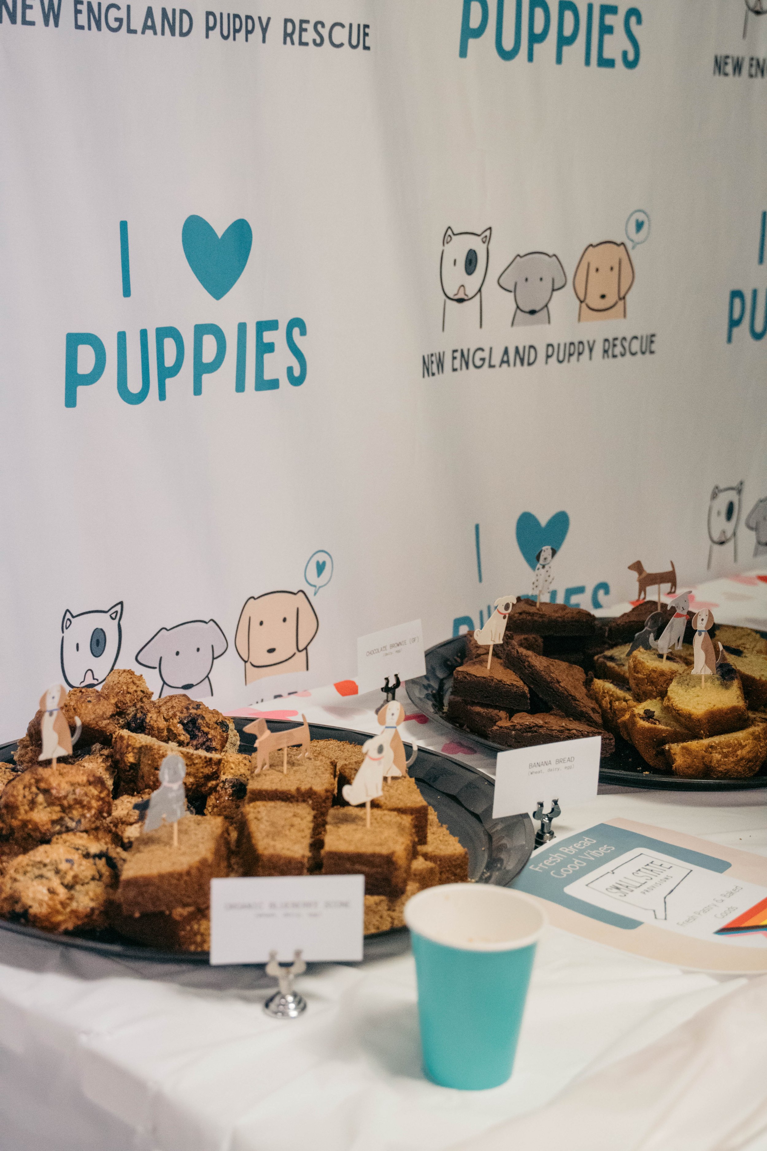 New England Puppy Rescue Foster Event