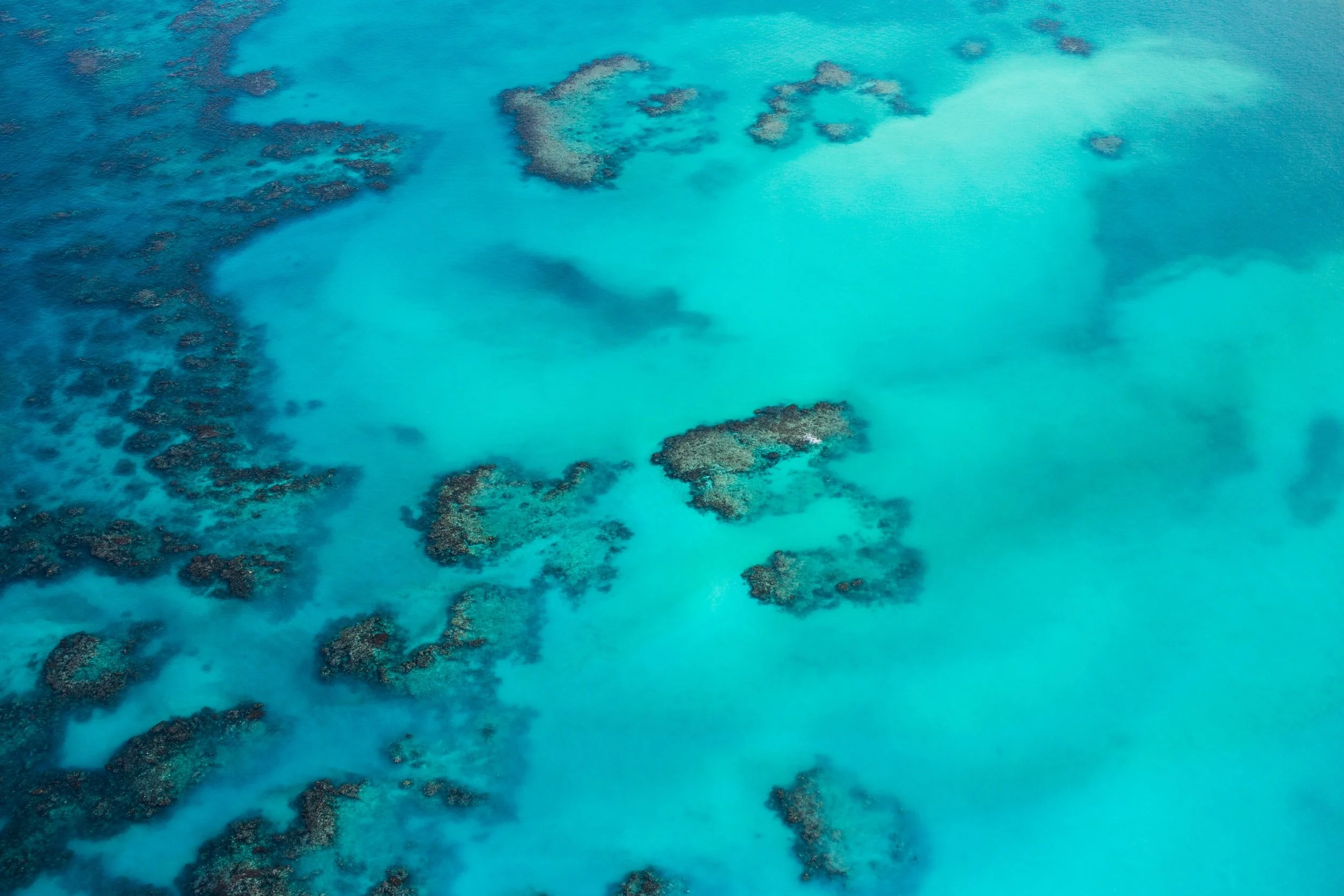 unsplash-image-k-rigx00brA.jpg