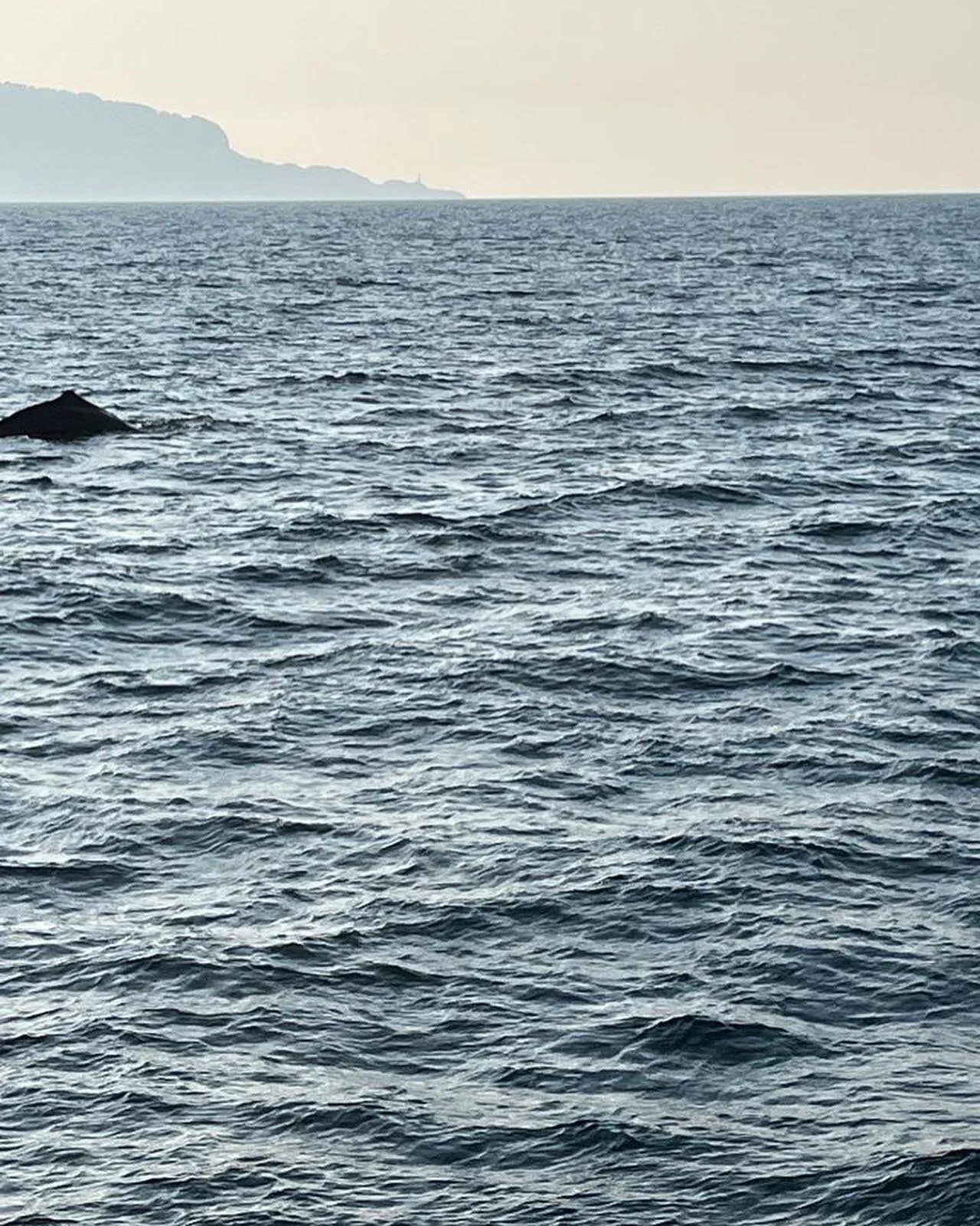 Stamattina al largo d&igrave; Capri ci ha dato il buongiorno una balena 🐋