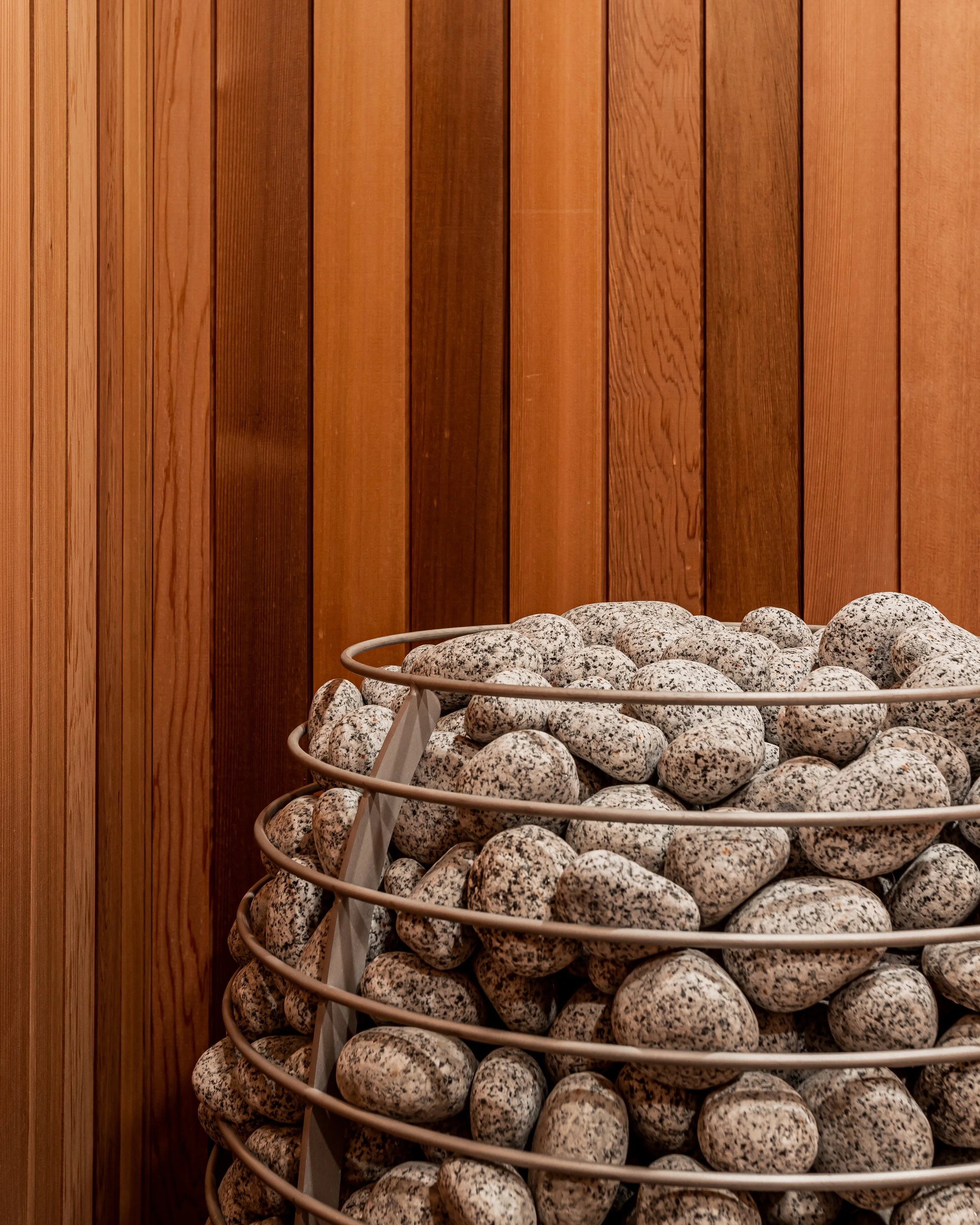 CSP_Shaye_10022 Allard_HiRes-1901.jpg