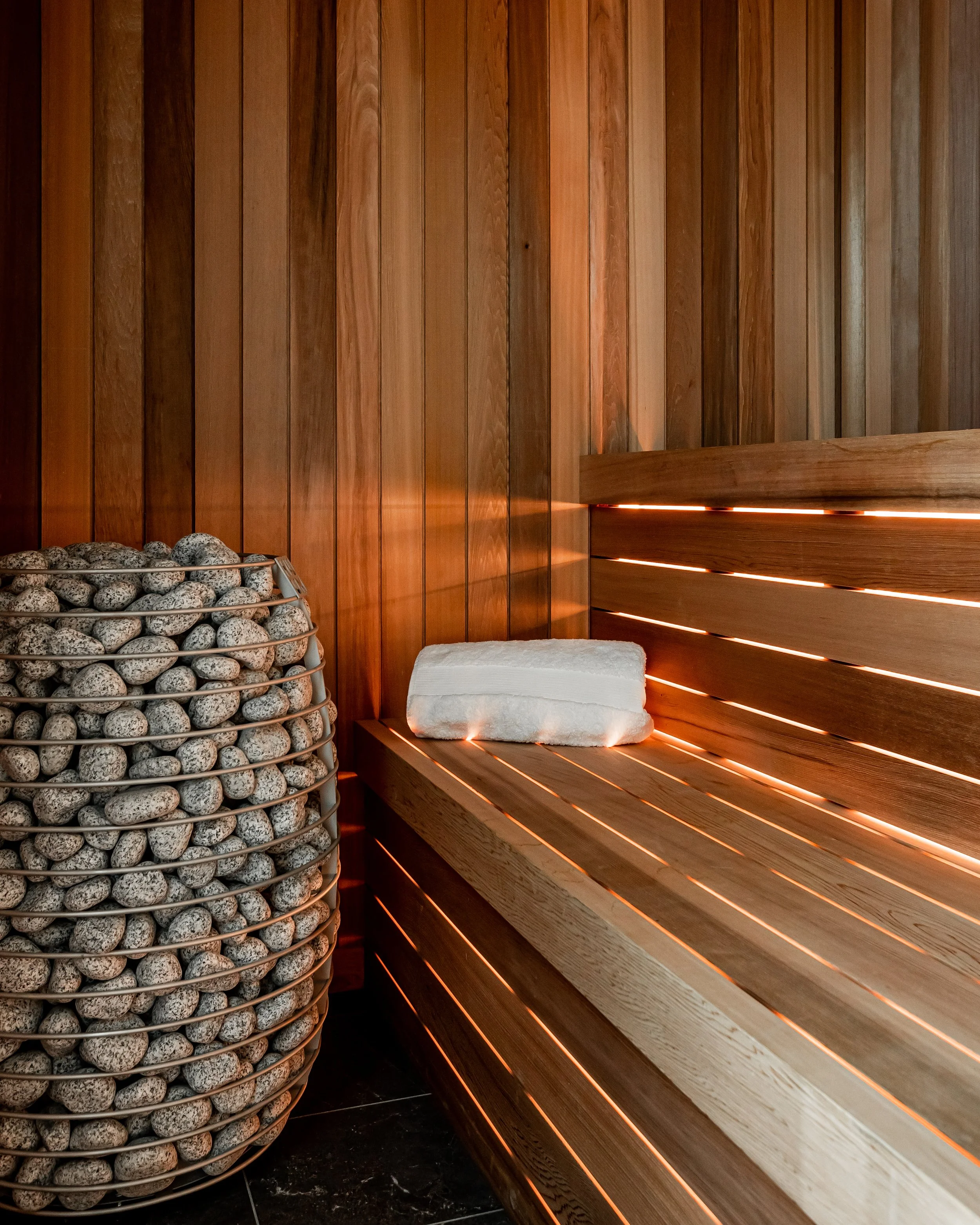 CSP_Shaye_10022 Allard_HiRes-1904.jpg