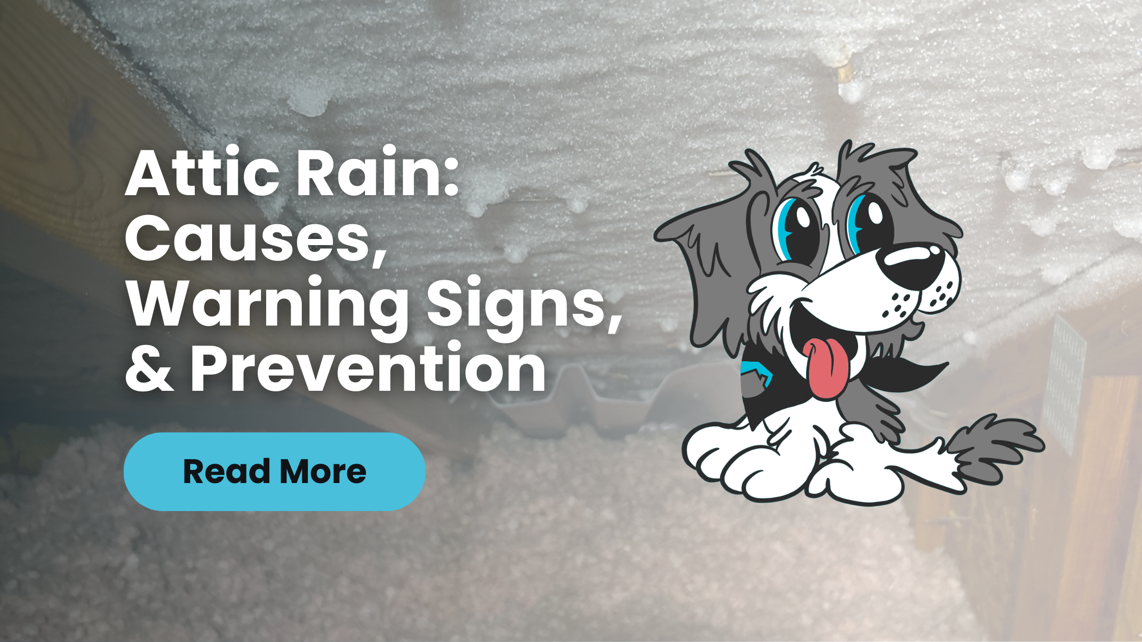 Attic Rain: Causes, warning signs, and Prevention