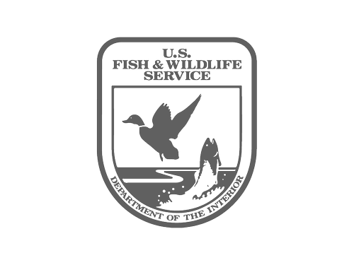 logos-08.webp