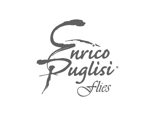 logos-13.webp