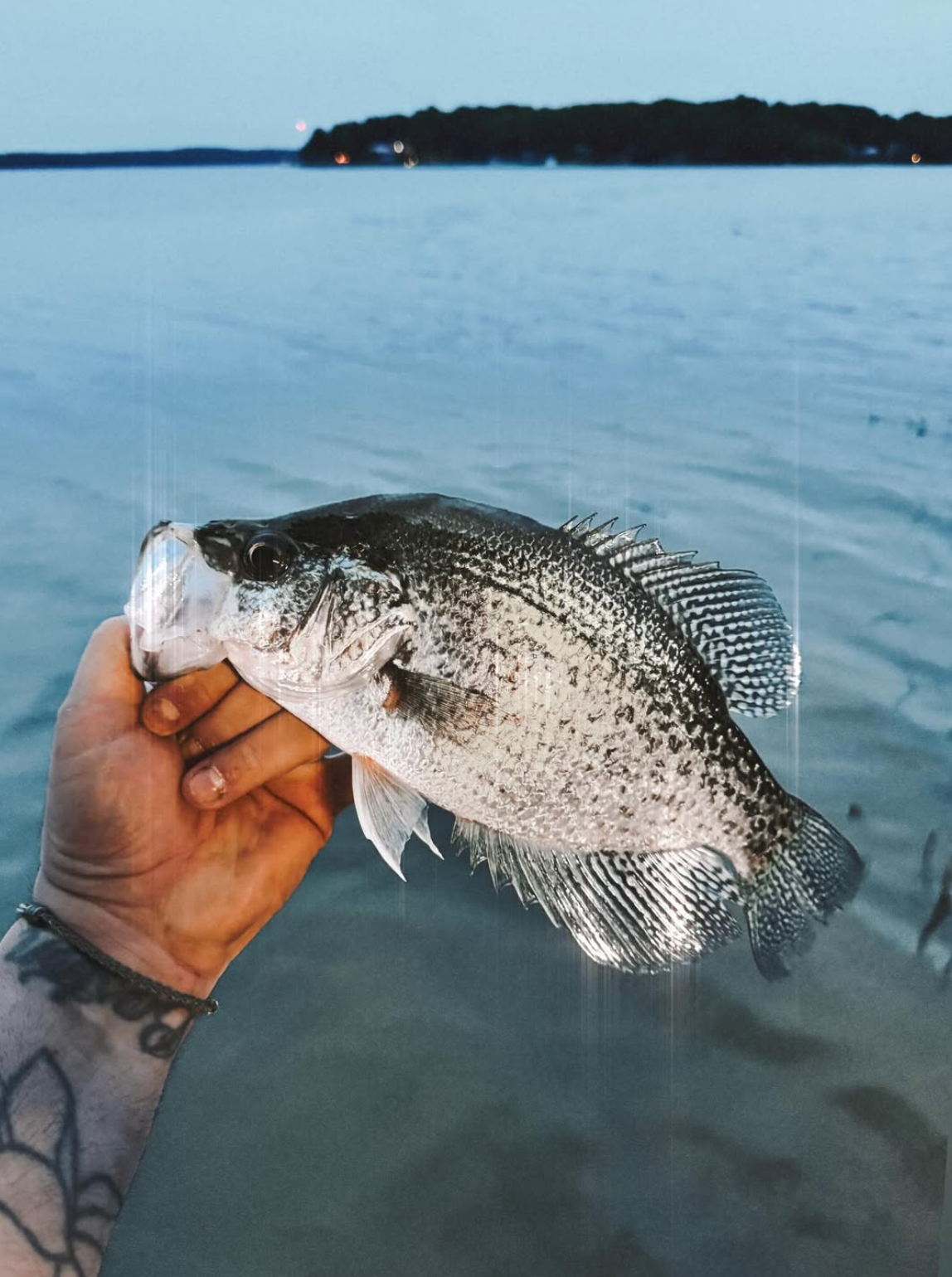 The First 30 Minutes: How I Break Down New Fishing Areas Without Electronics
