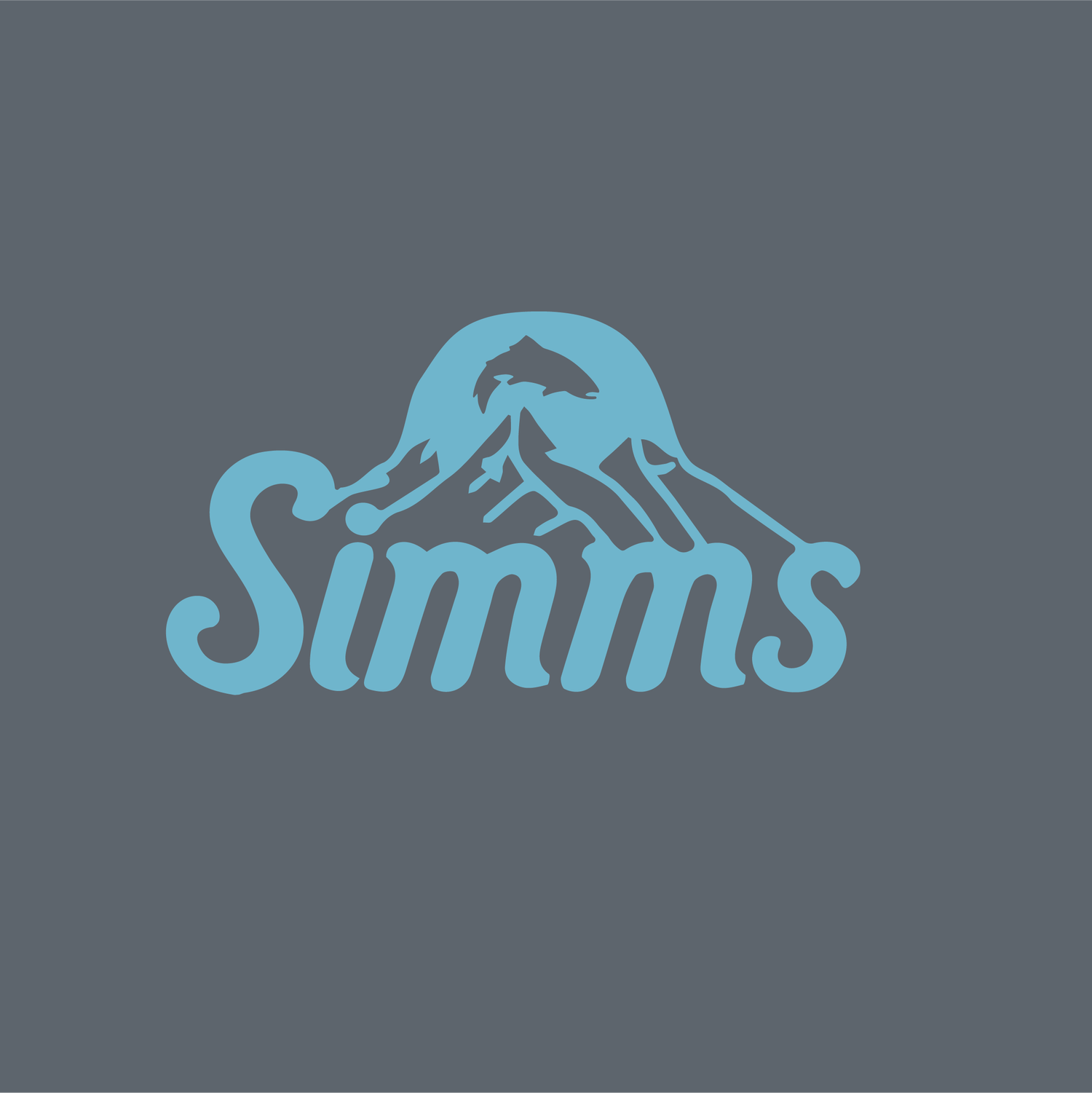 simms-14.webp