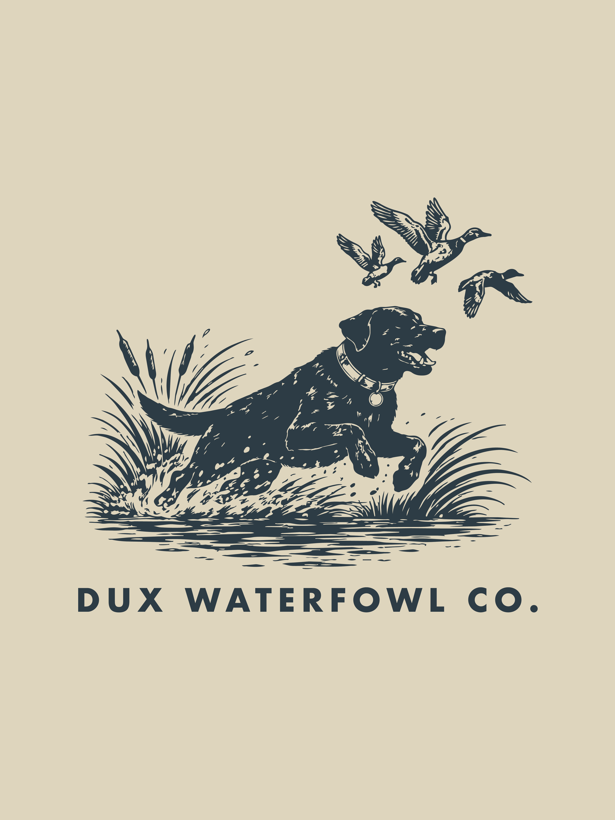 DUX-05.png
