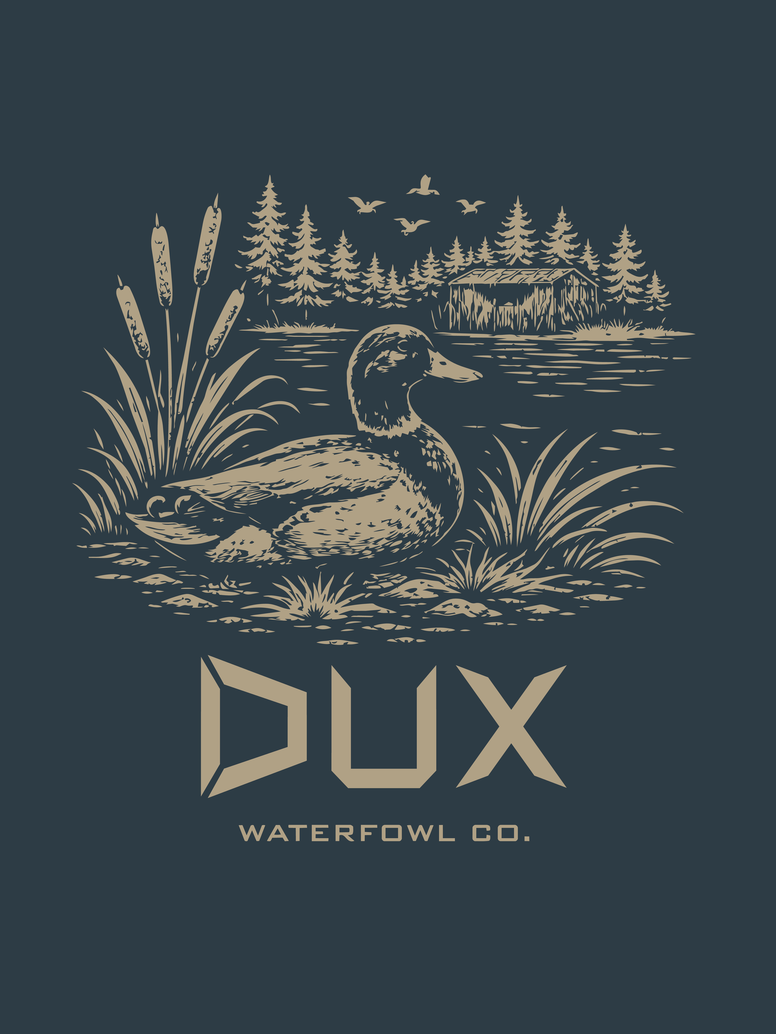 DUX-07.png