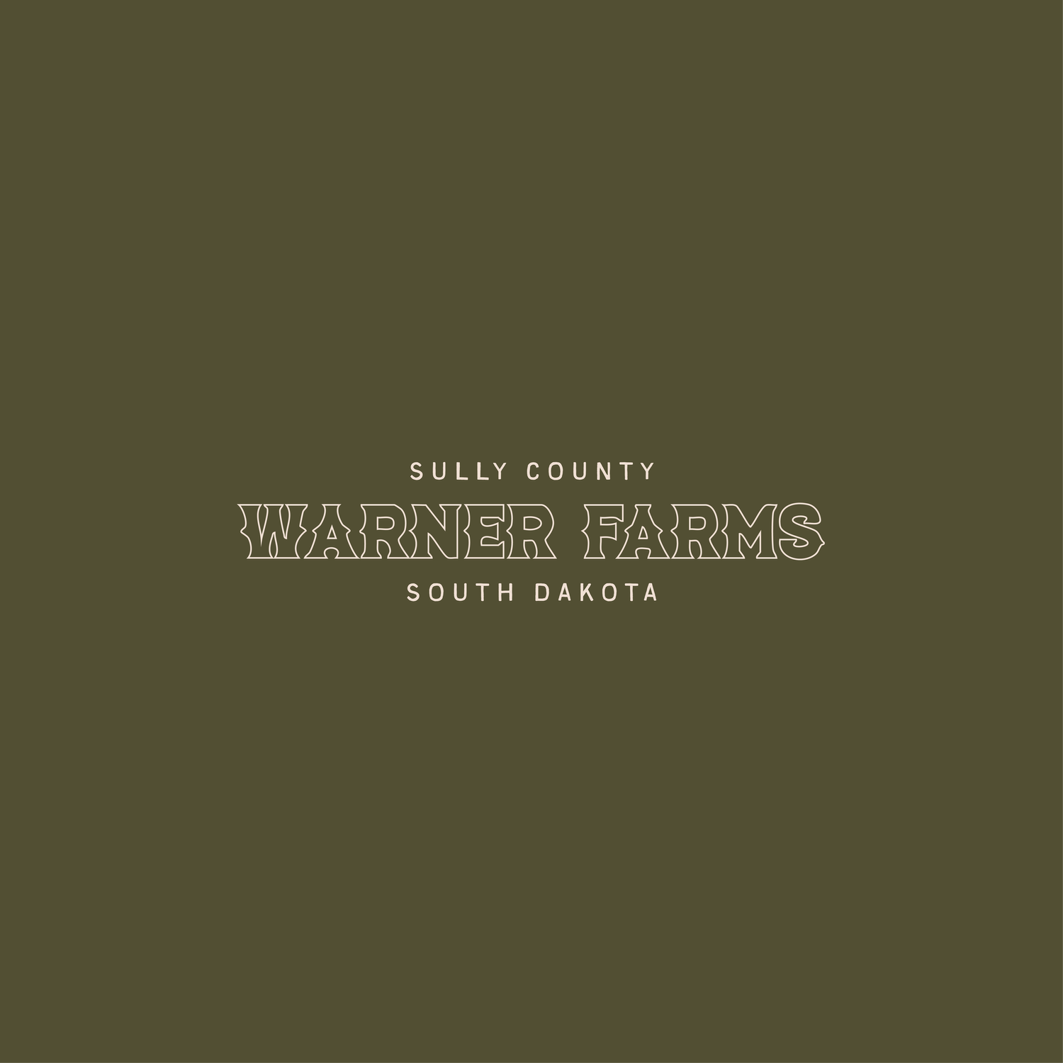 WARNER-03.webp
