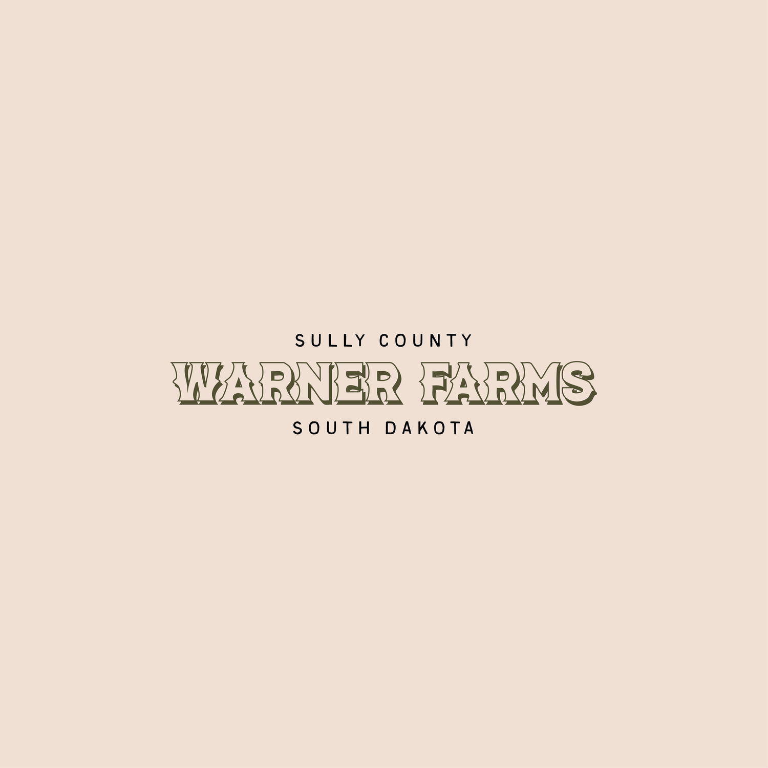 WARNER-02.webp