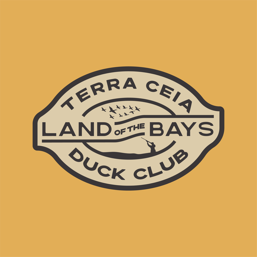 terraceia-05.webp