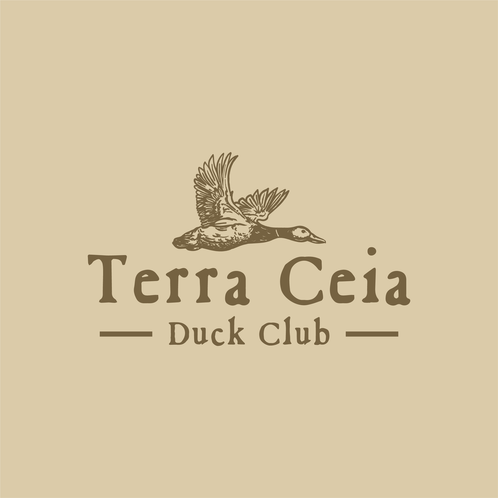 terraceia-02.webp