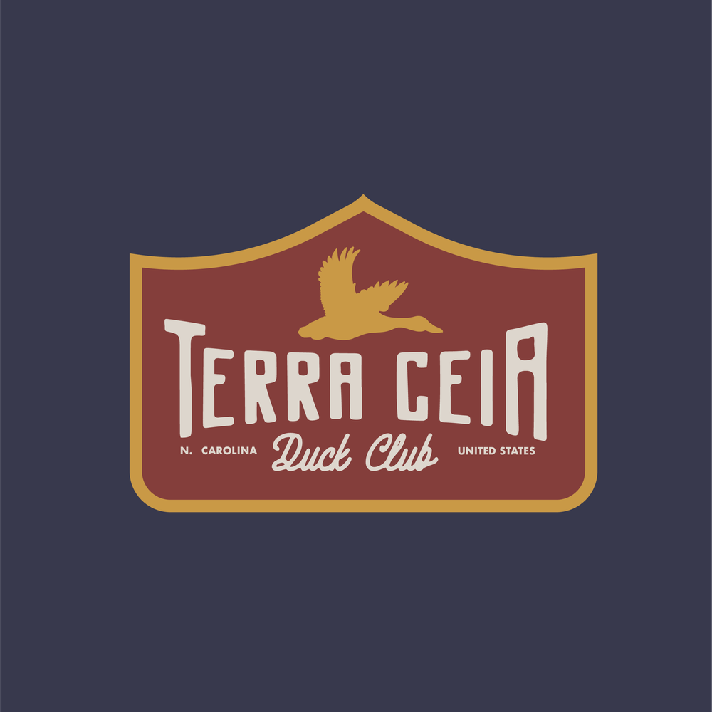 terraceia-03.webp