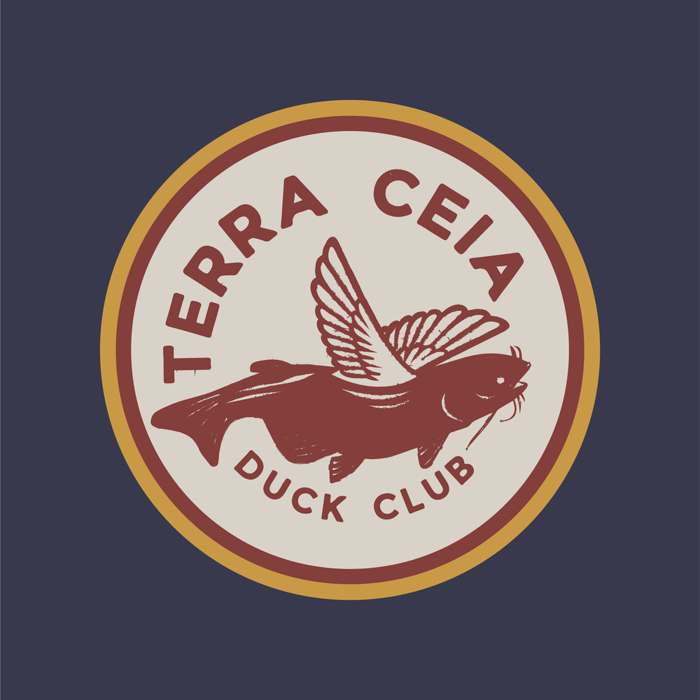 terraceia-04.webp