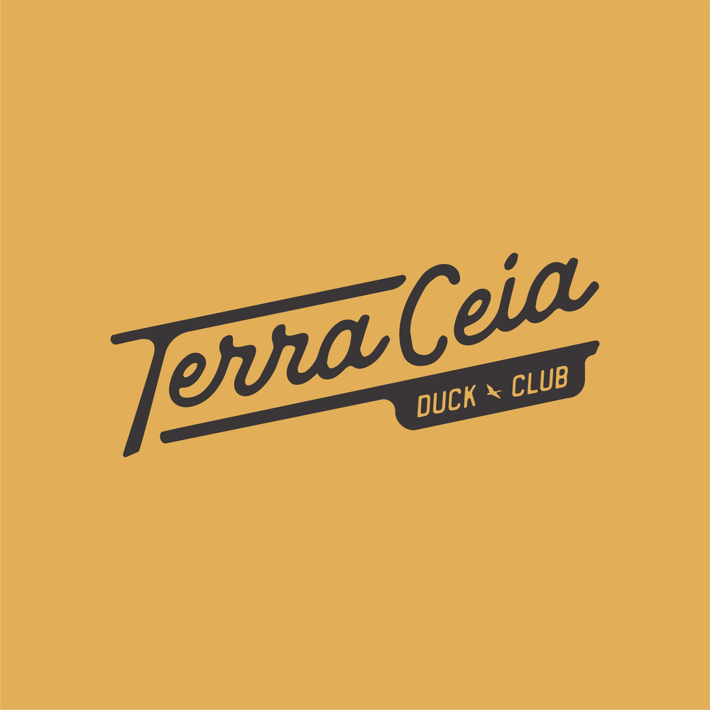terraceia-06.webp