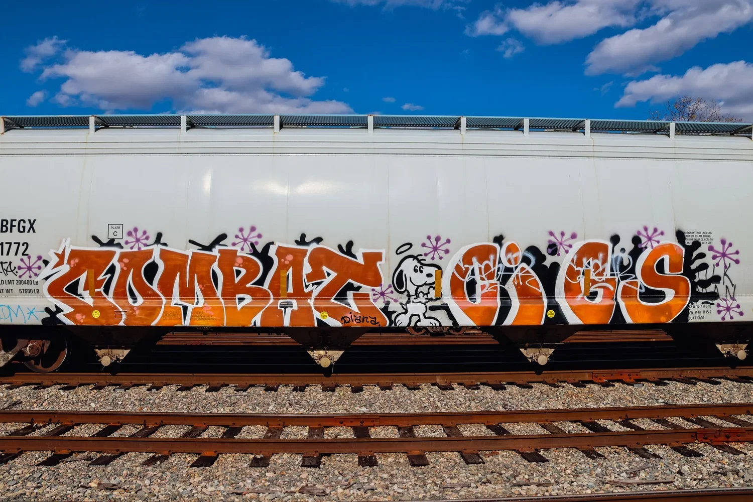 ASC_2085.webp