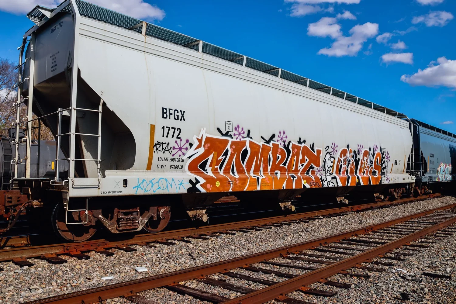 ASC_2080.webp