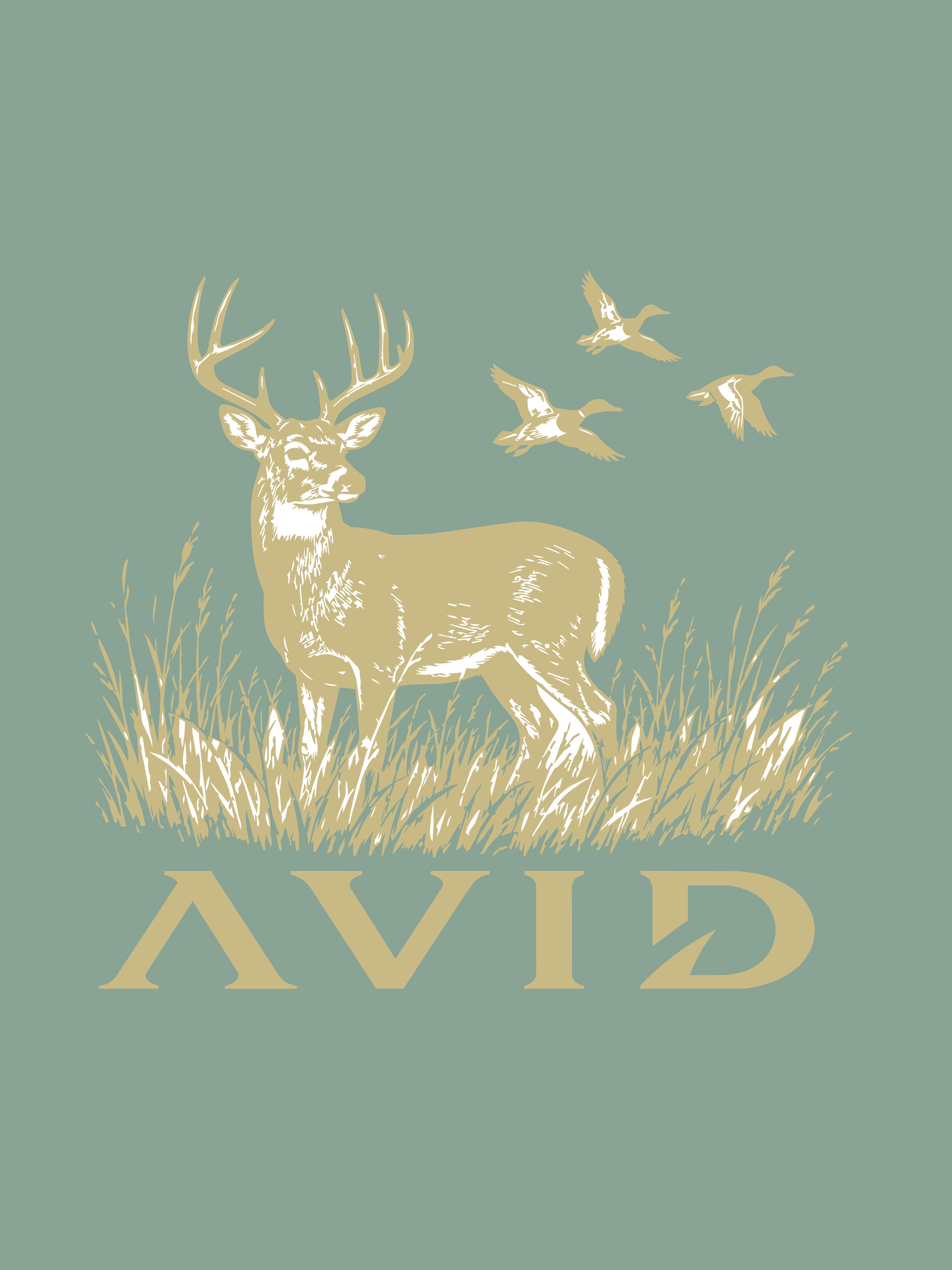 AVIDGEAR-04.png