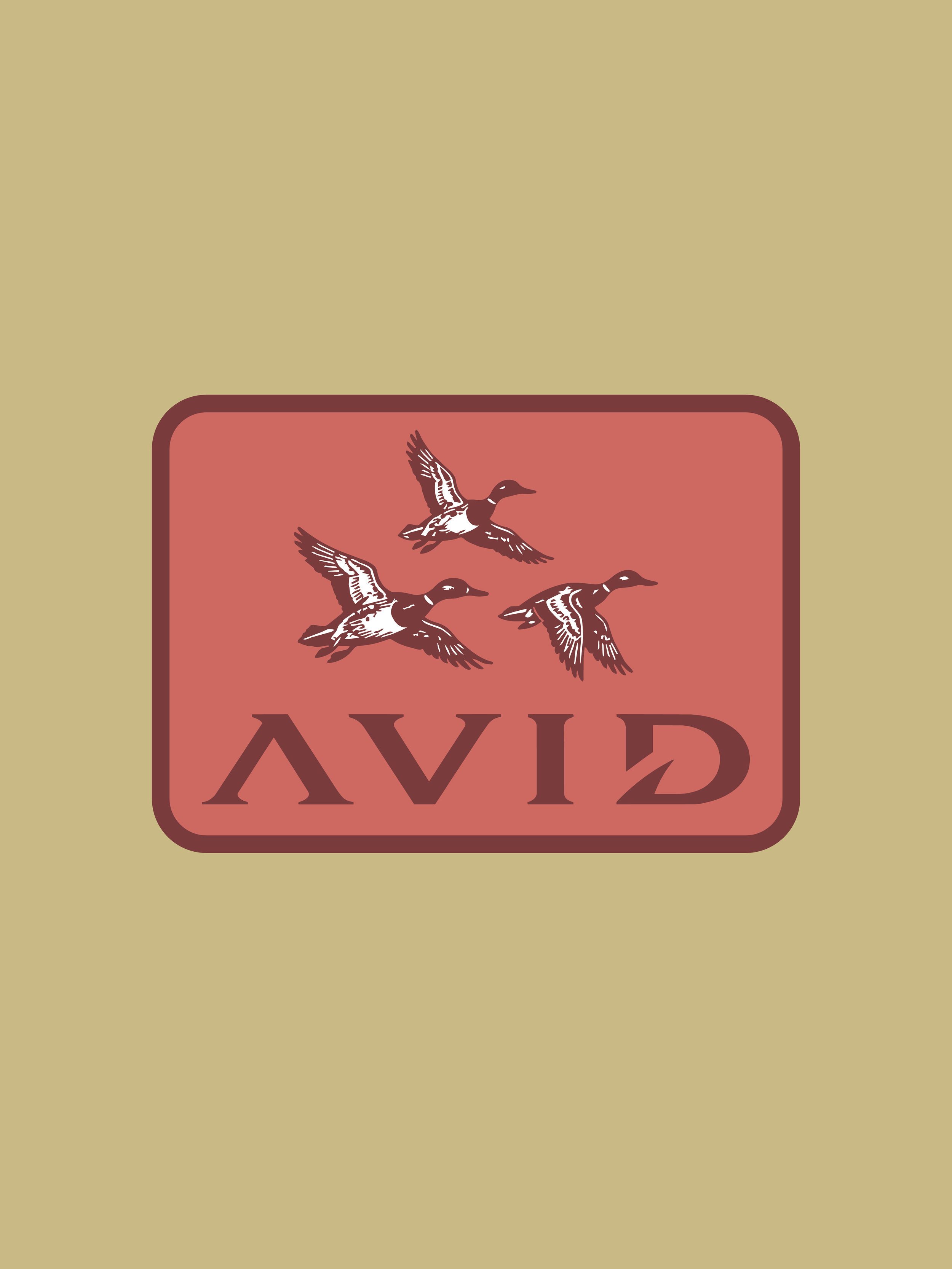 AVIDGEAR-05.png