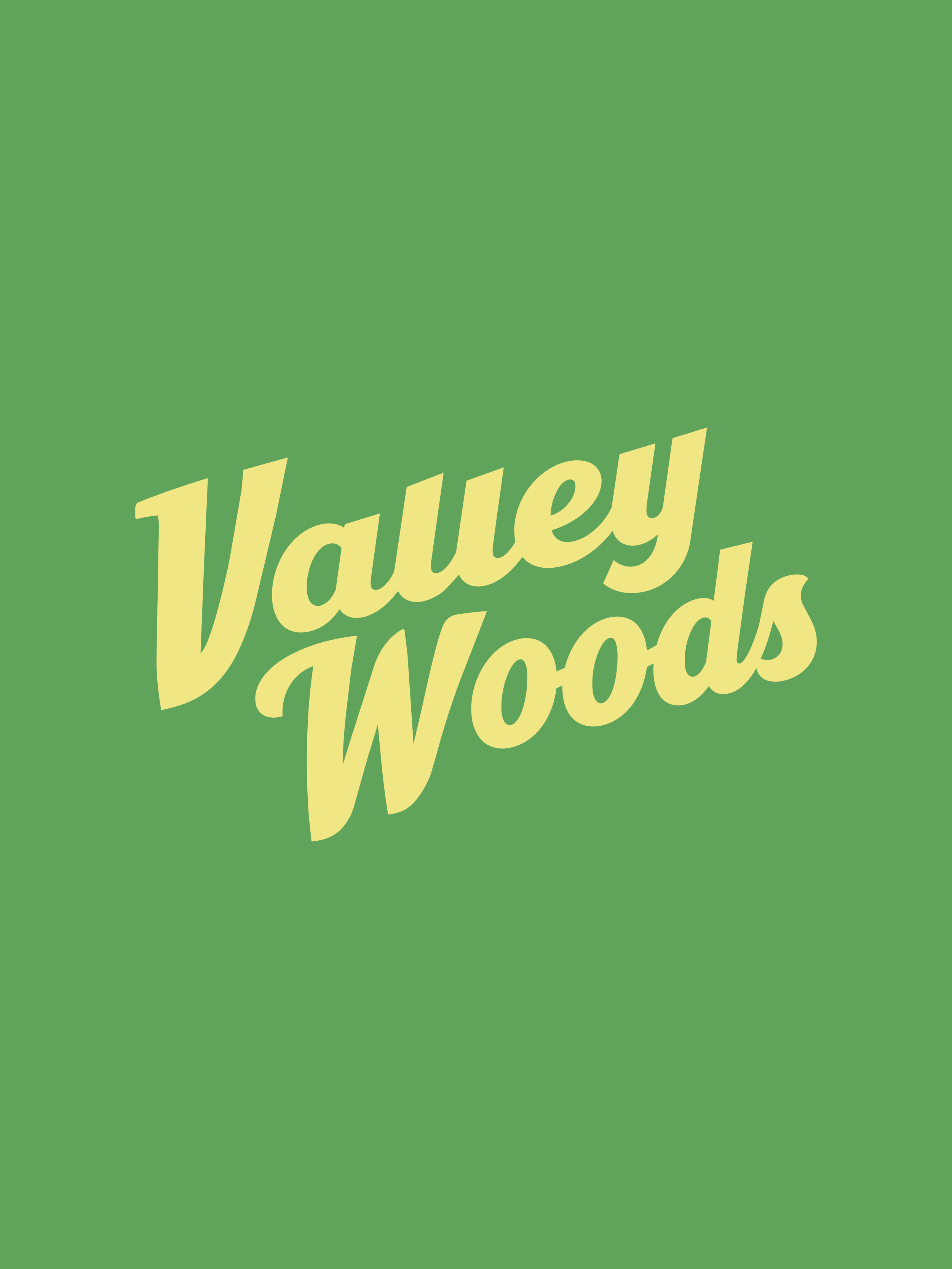 VALLEYWOODS3-05.png