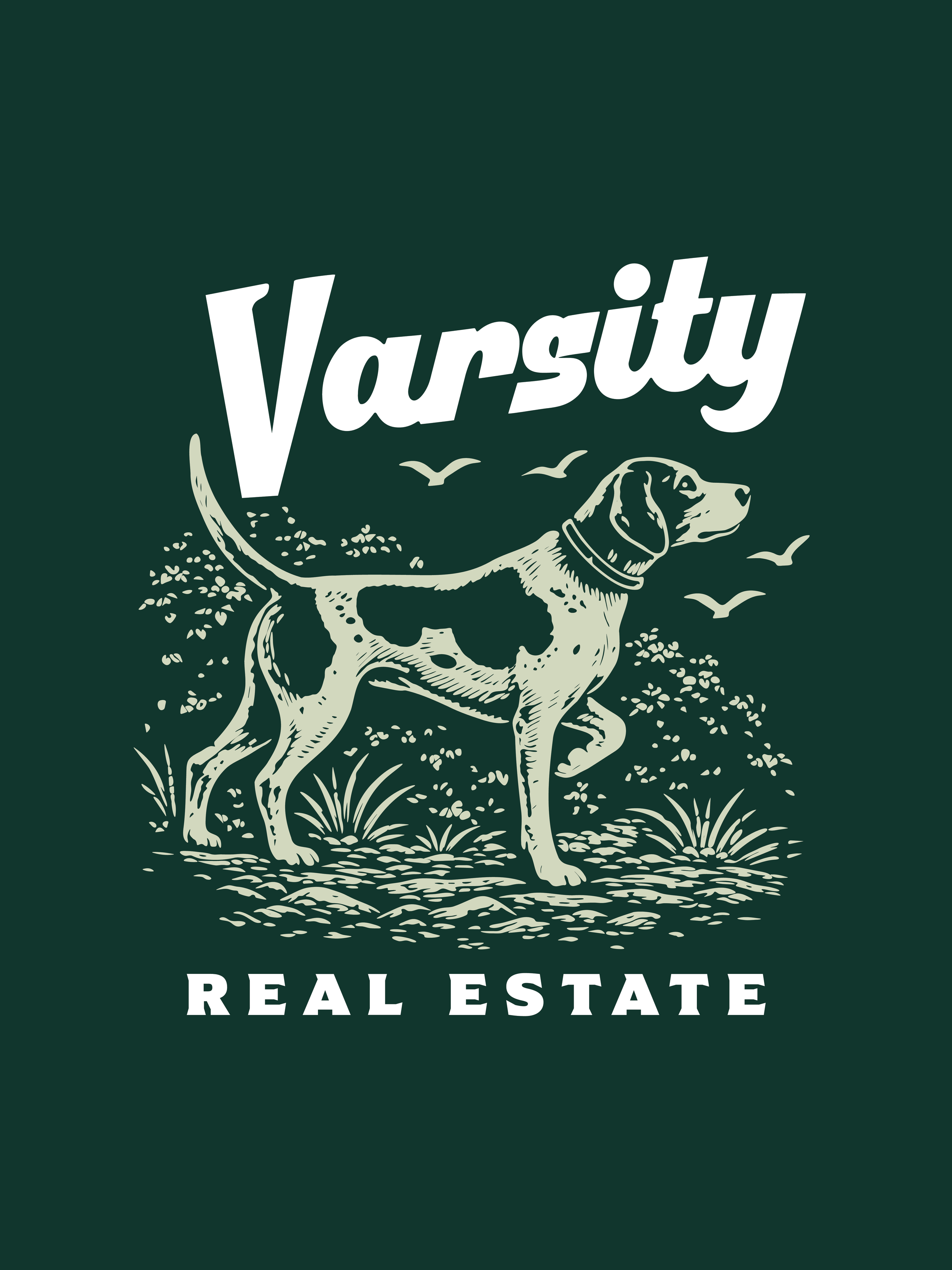 varsity-01.png