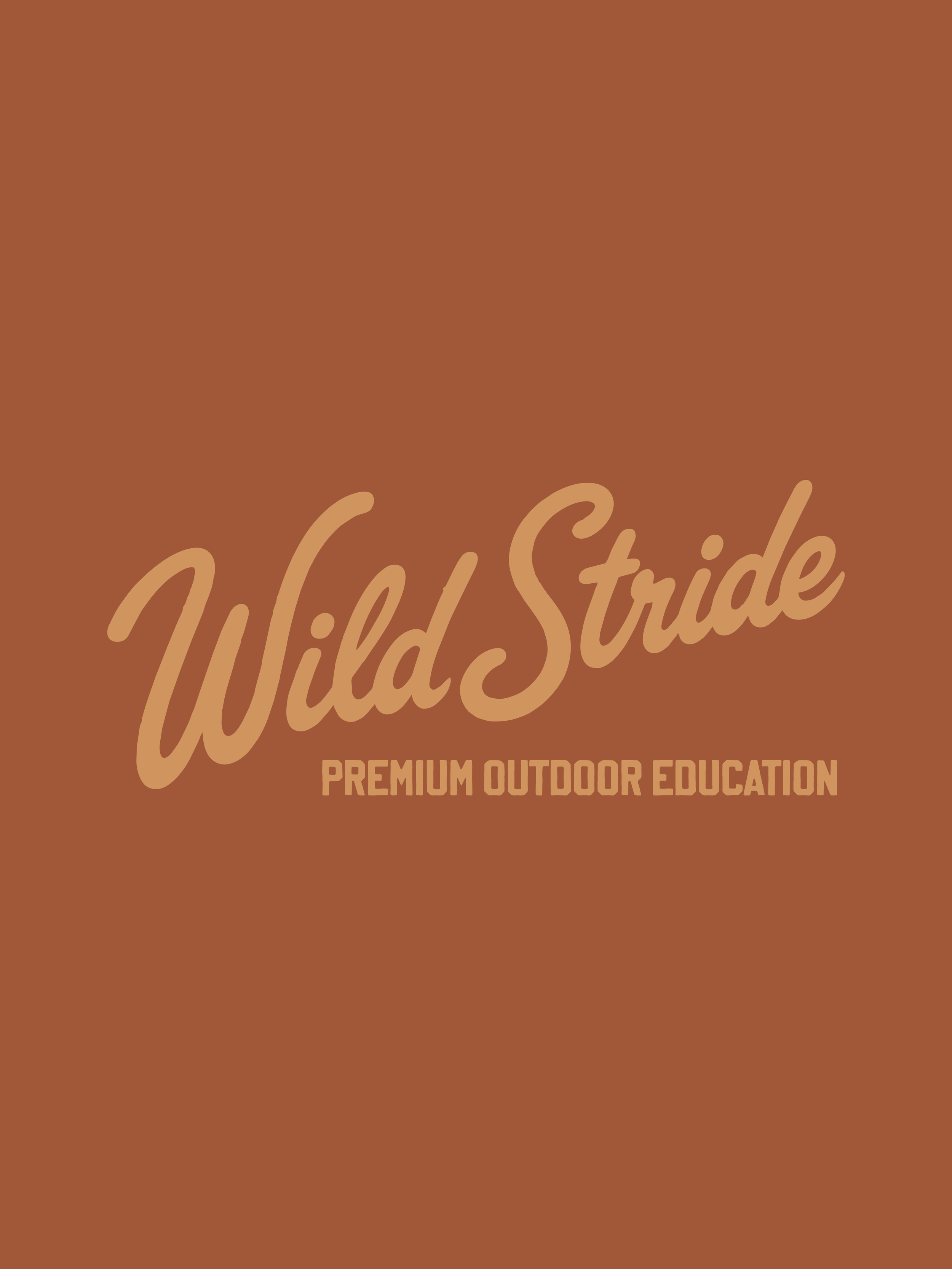 WILDSTRIDE-02.png