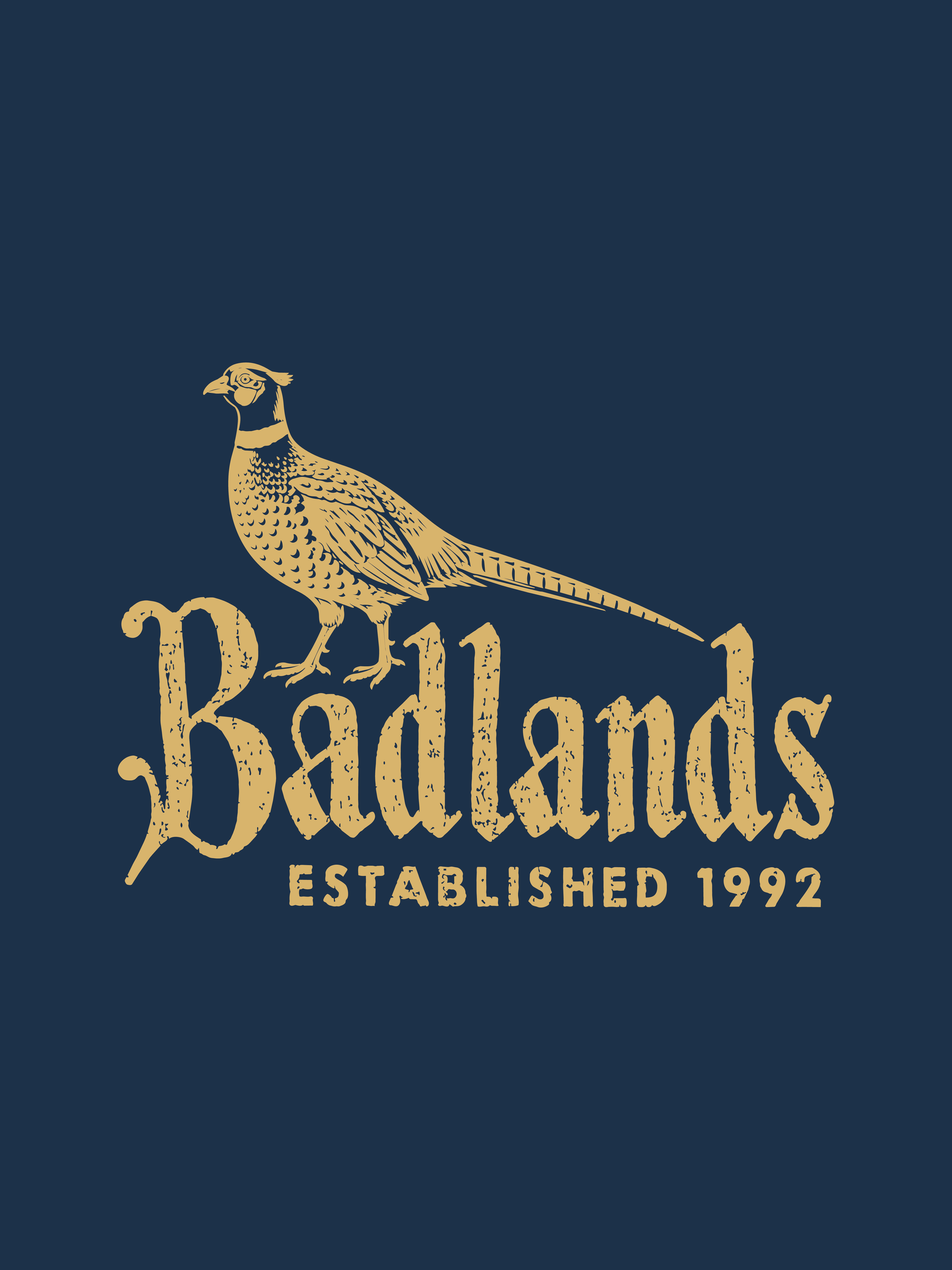 BADLANDS-16.png