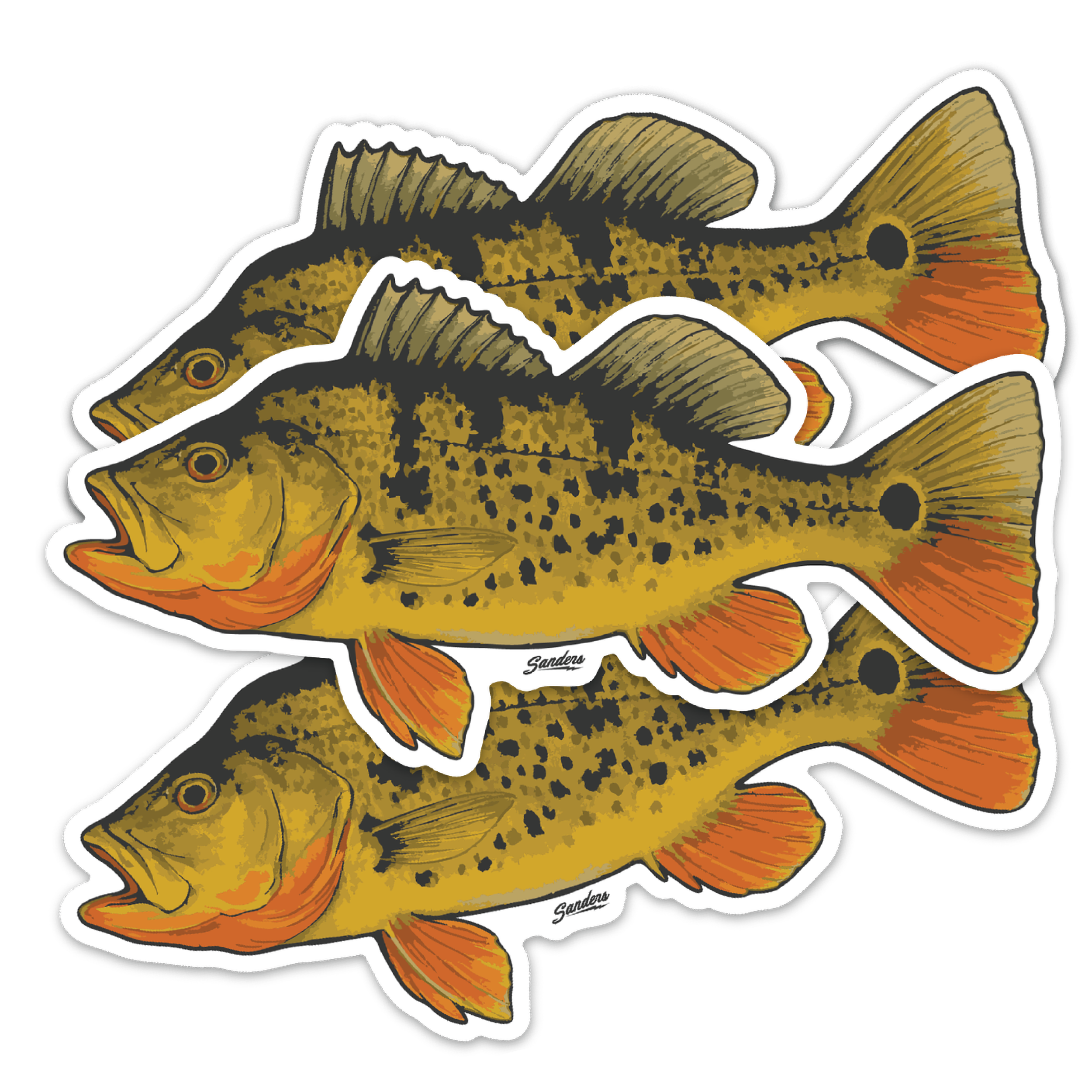 Peacock Bass Decal Sticker