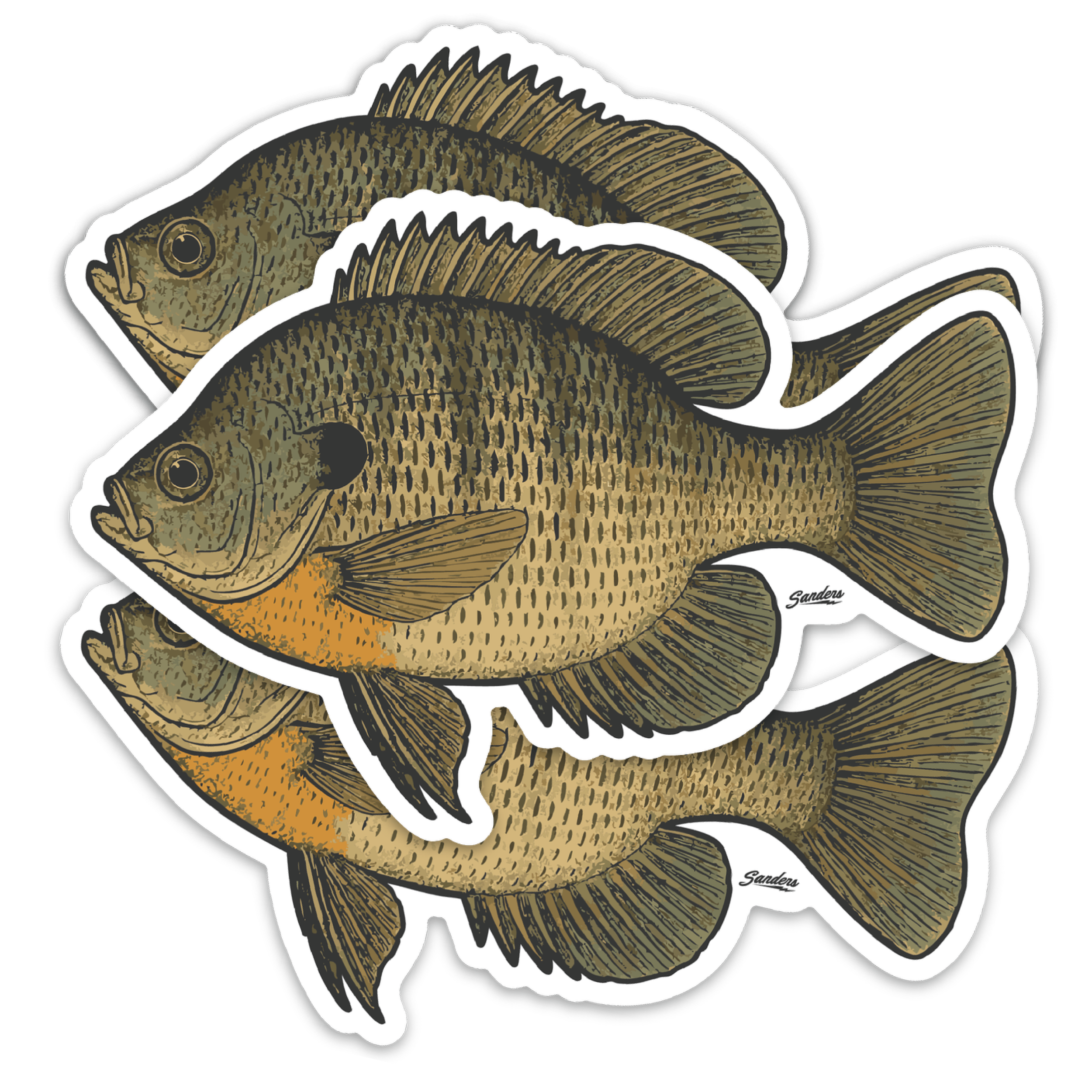 Bluegill Decal Sticker