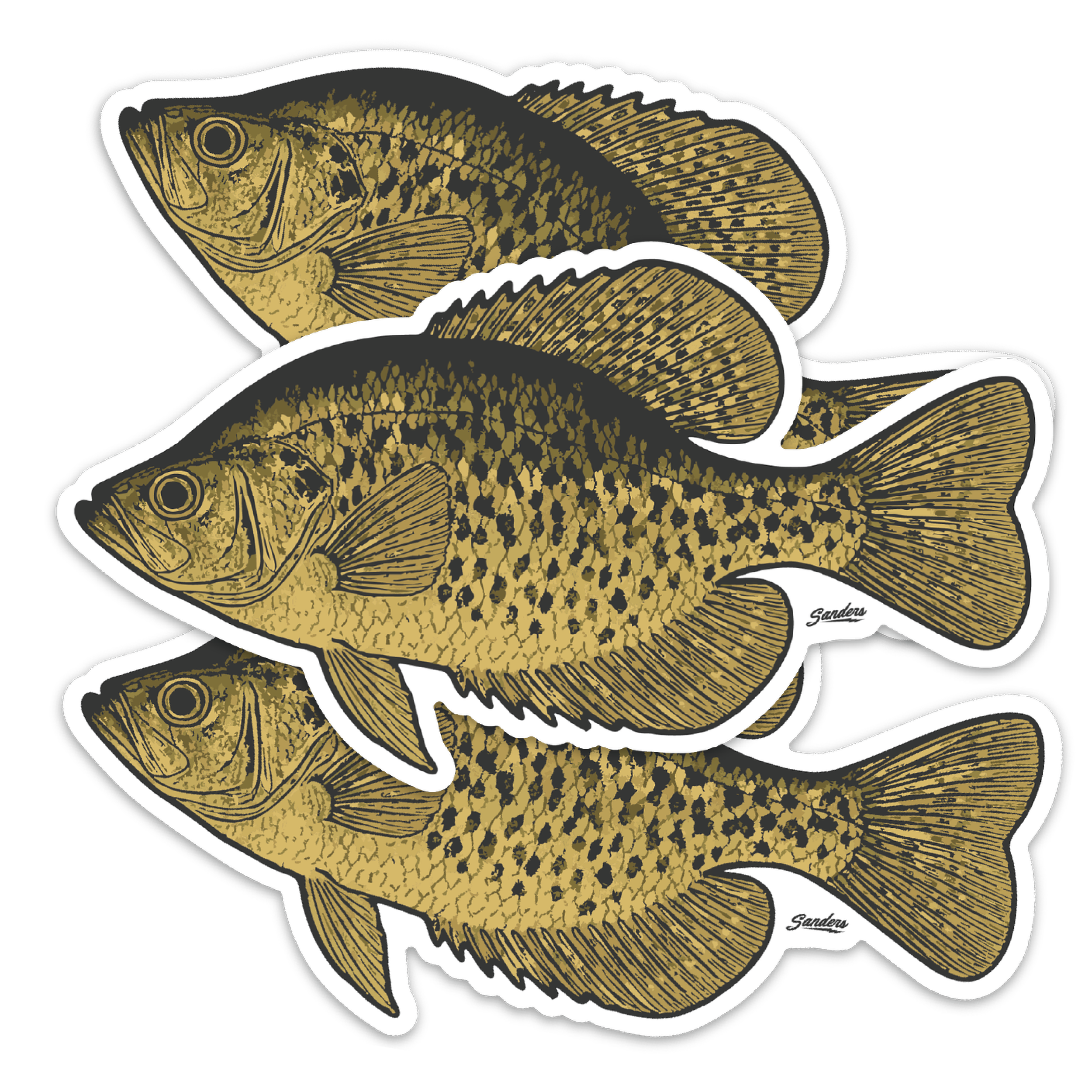 Crappie Decal Sticker