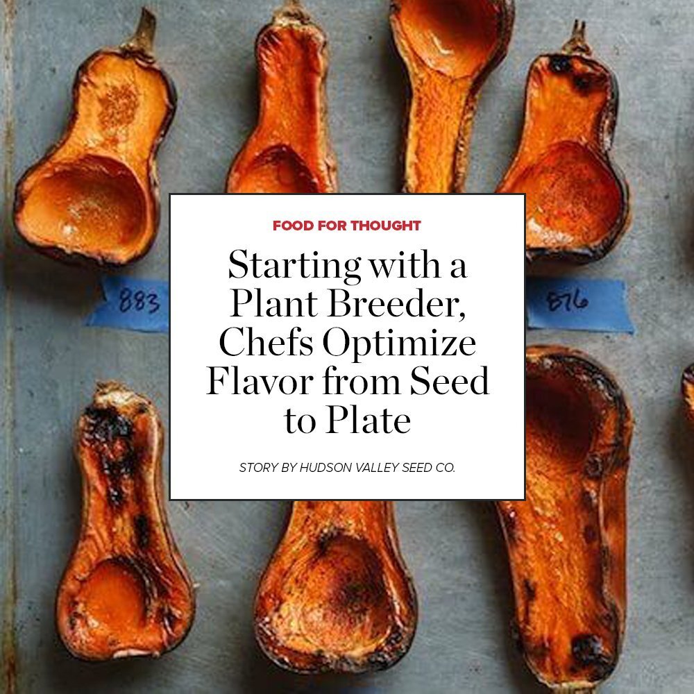 Flavor and distinctiveness were once critical criteria for American farmers; instead, buyers favor high yields, shelf life, and shallow attractiveness. That&rsquo;s now beginning to change. A burgeoning group of plant breeders, farmers and chefs are 