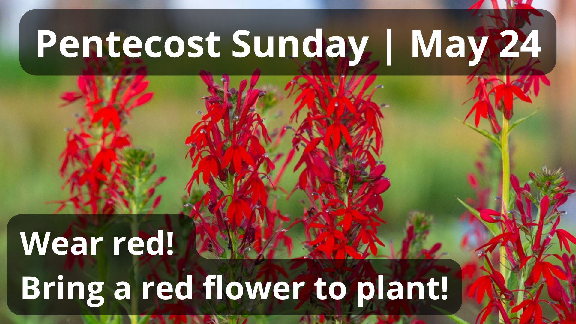 Pentecost Sunday Service 